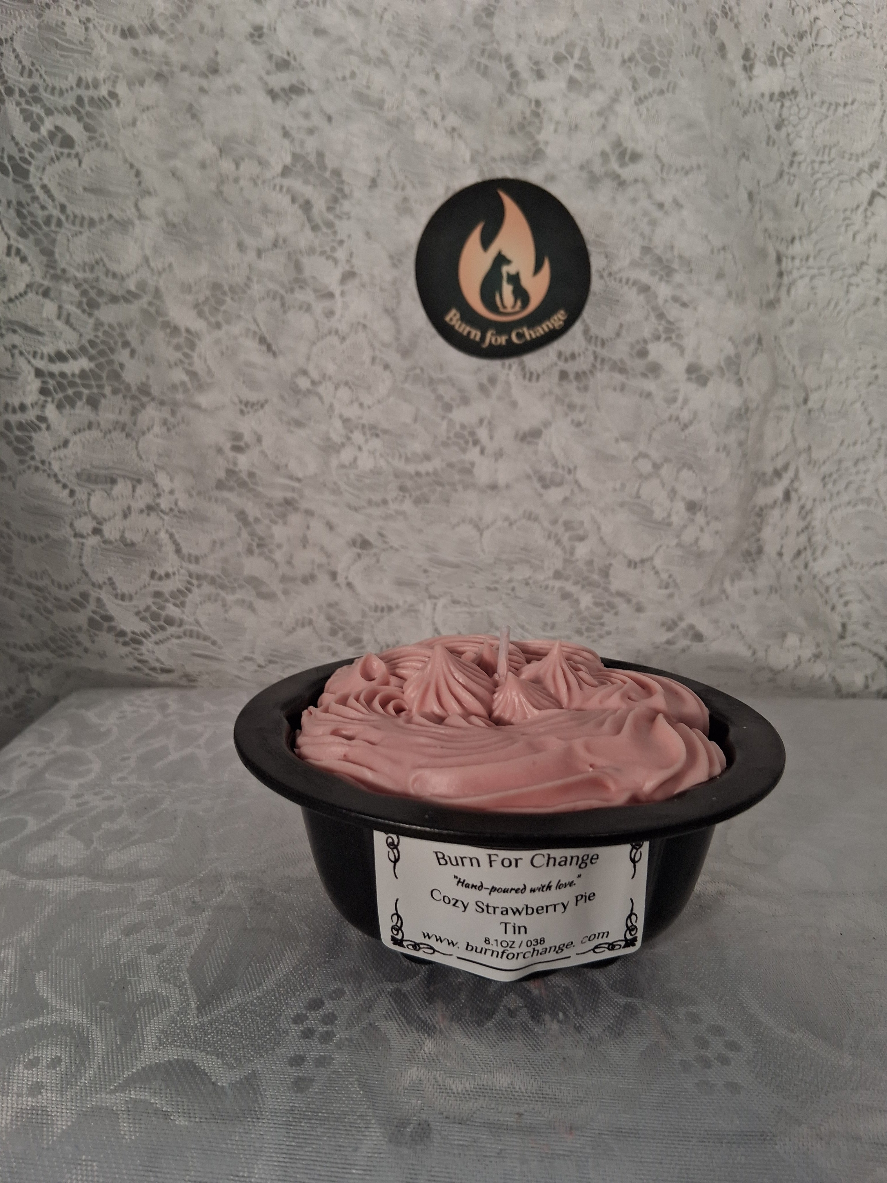 Cozy Strawberry Pie Tin