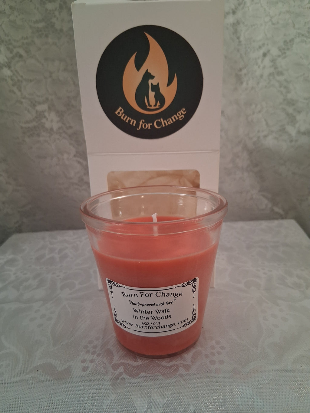 Winter Walk in the Woods