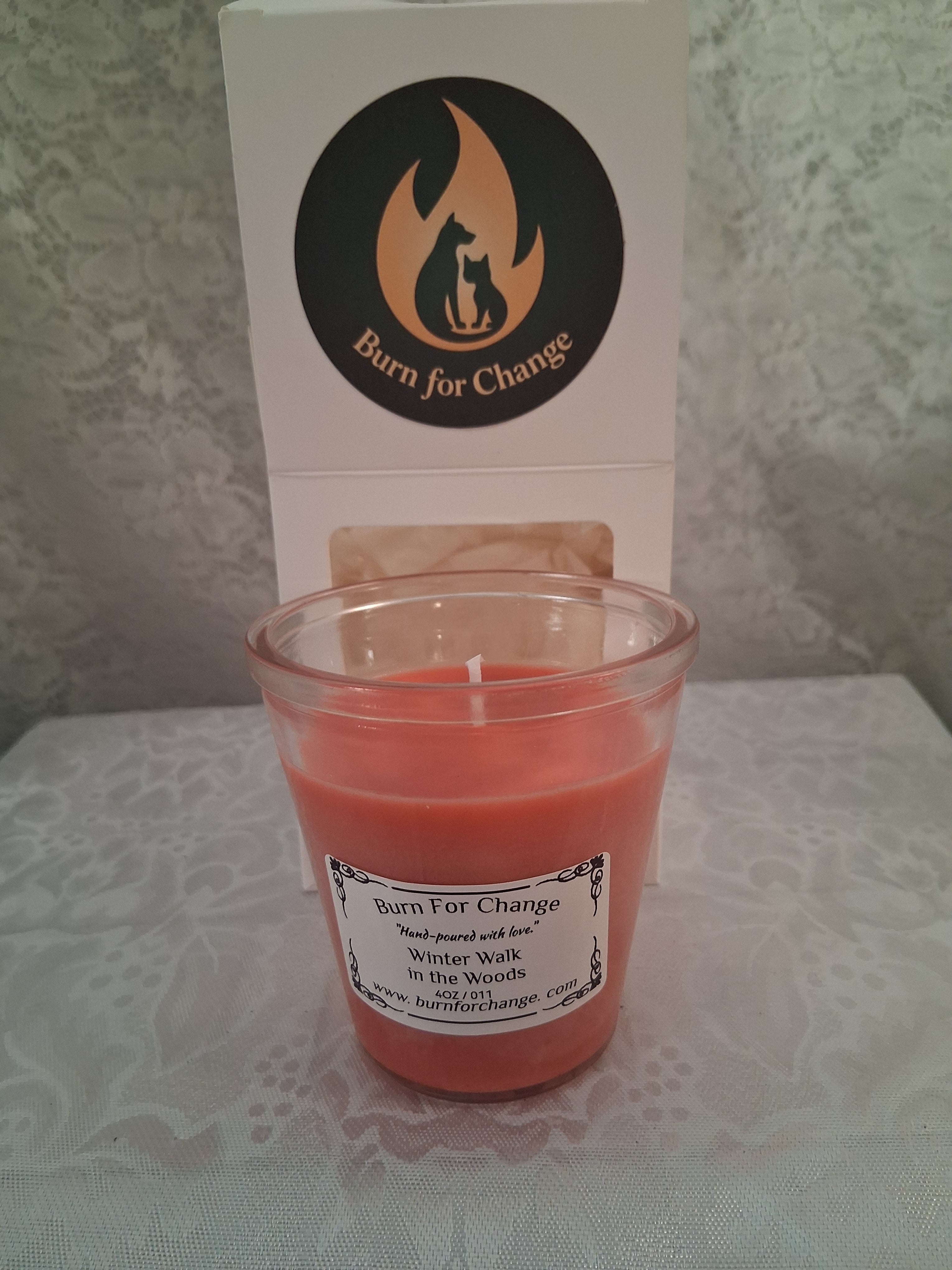 Winter Walk in the Woods