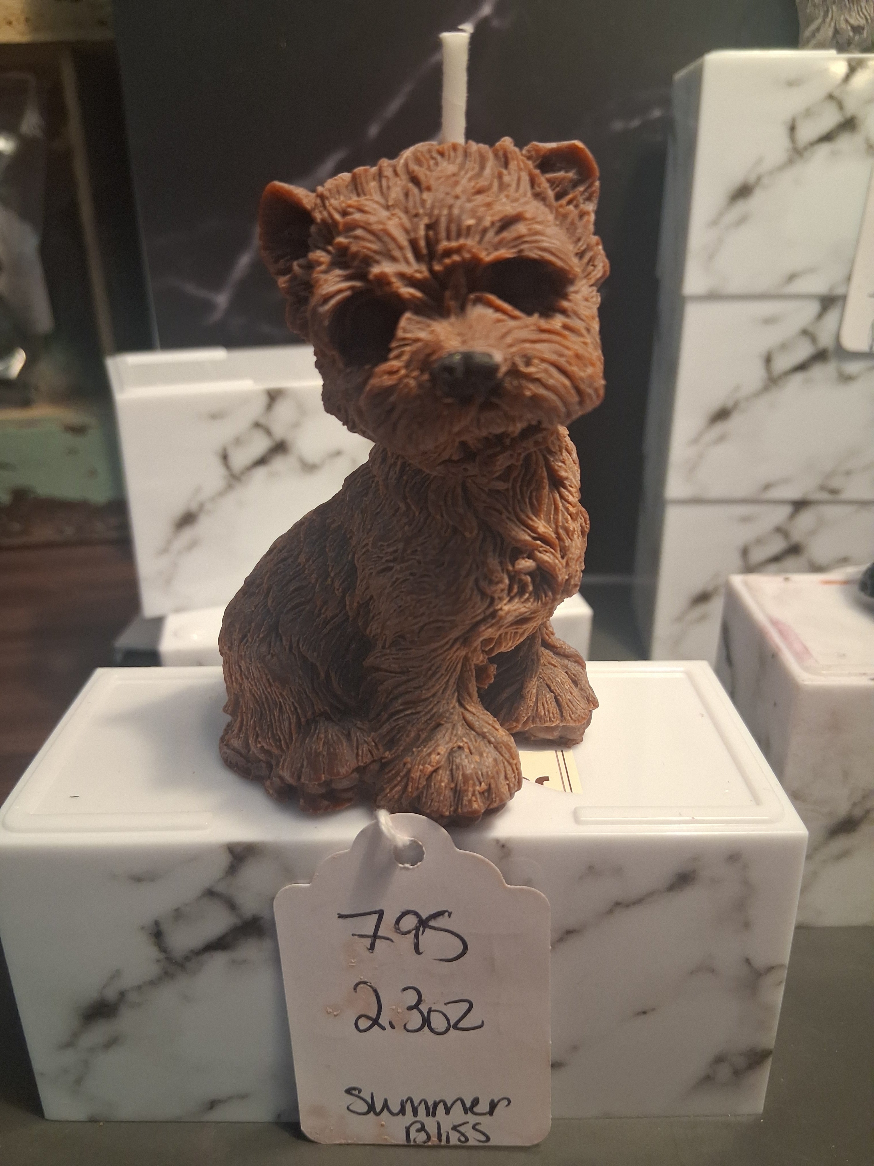 Terrier Twinkle