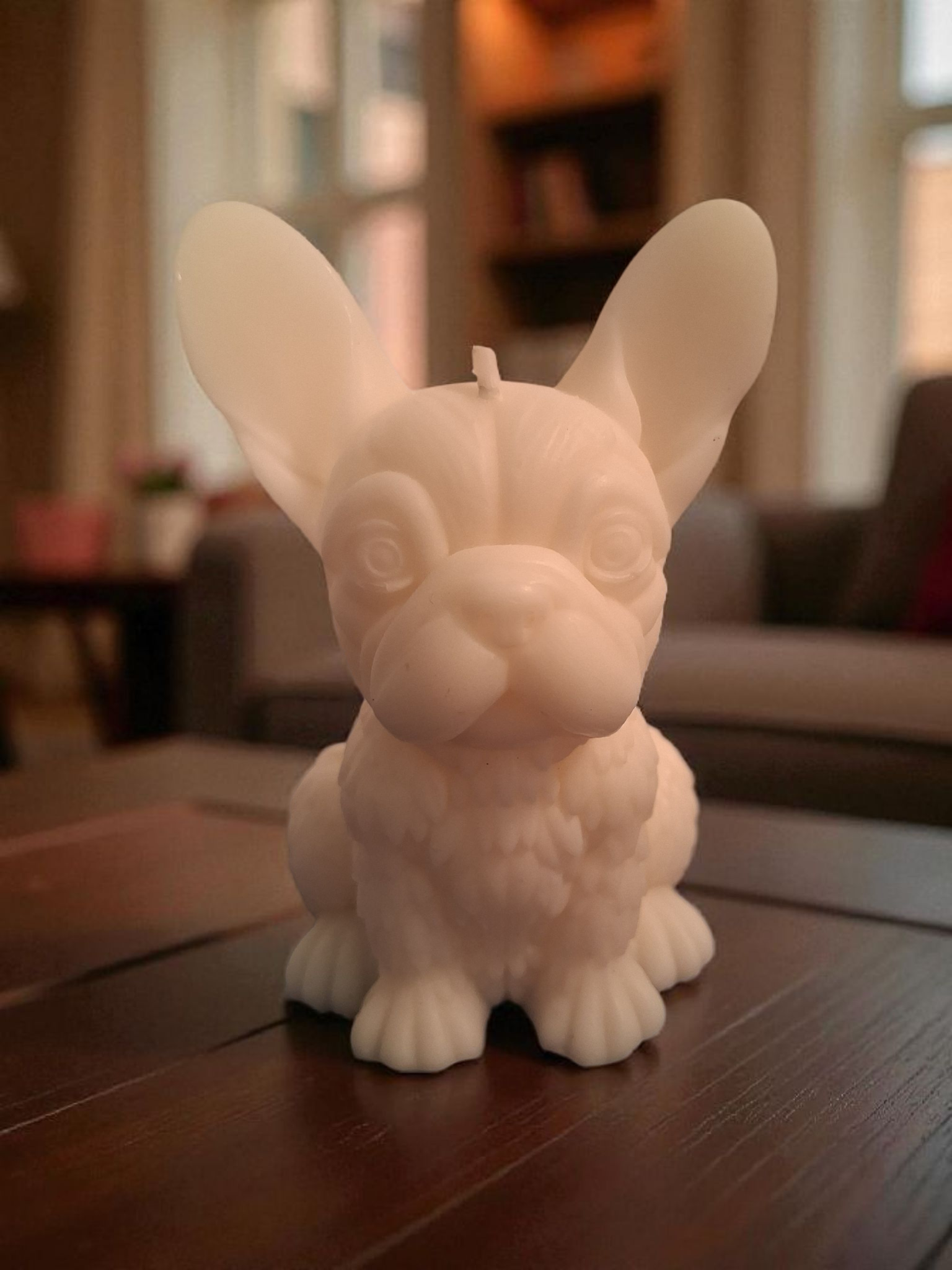 Firelight Frenchie 2