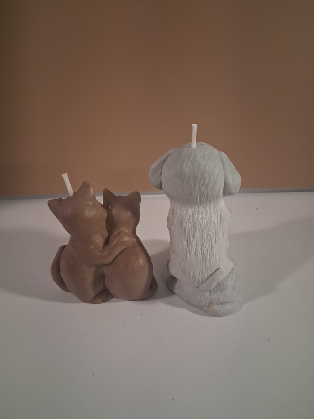 Paw-fect Together (Set of 2)