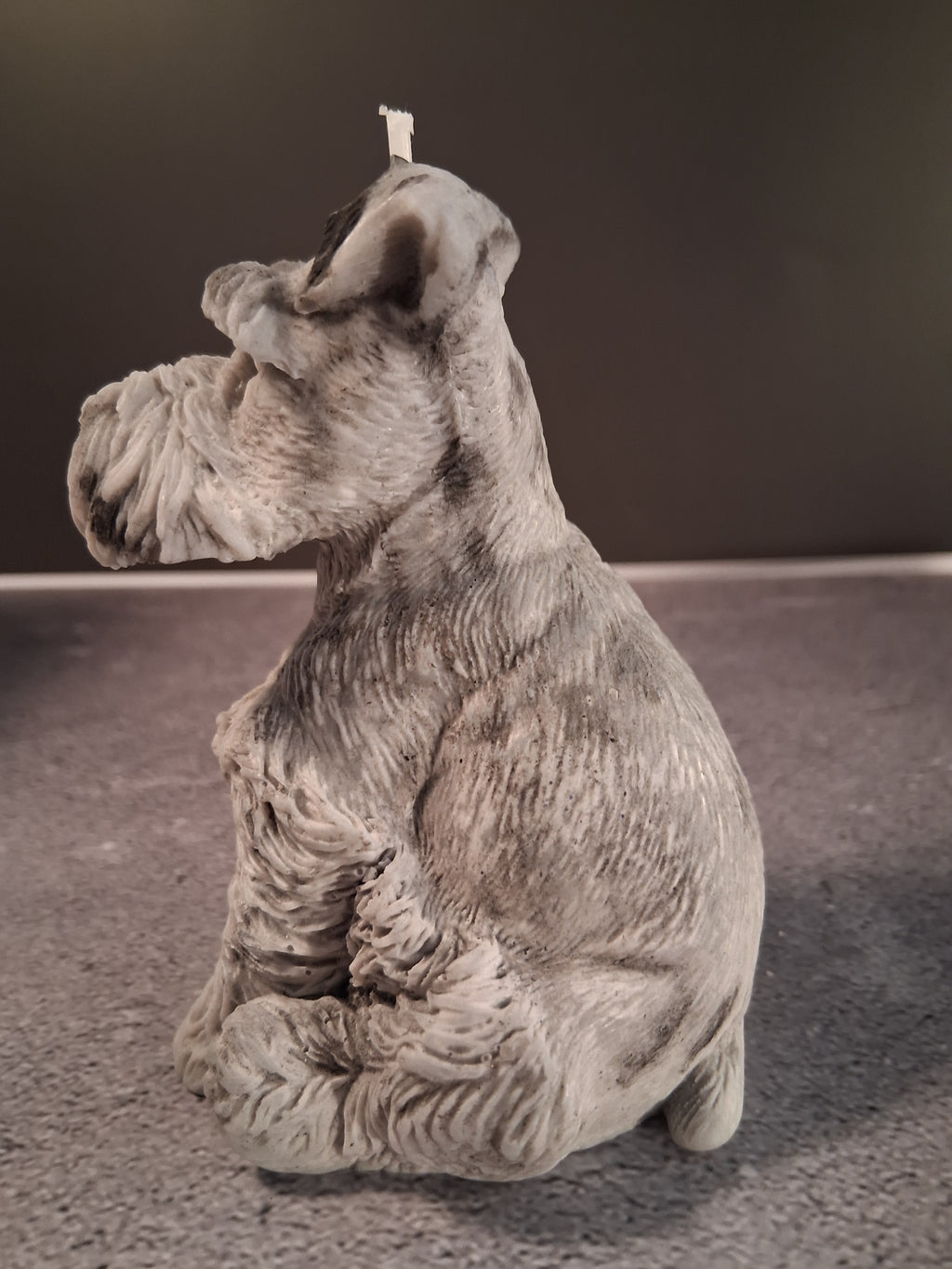 Schnauzer Spunkhouse