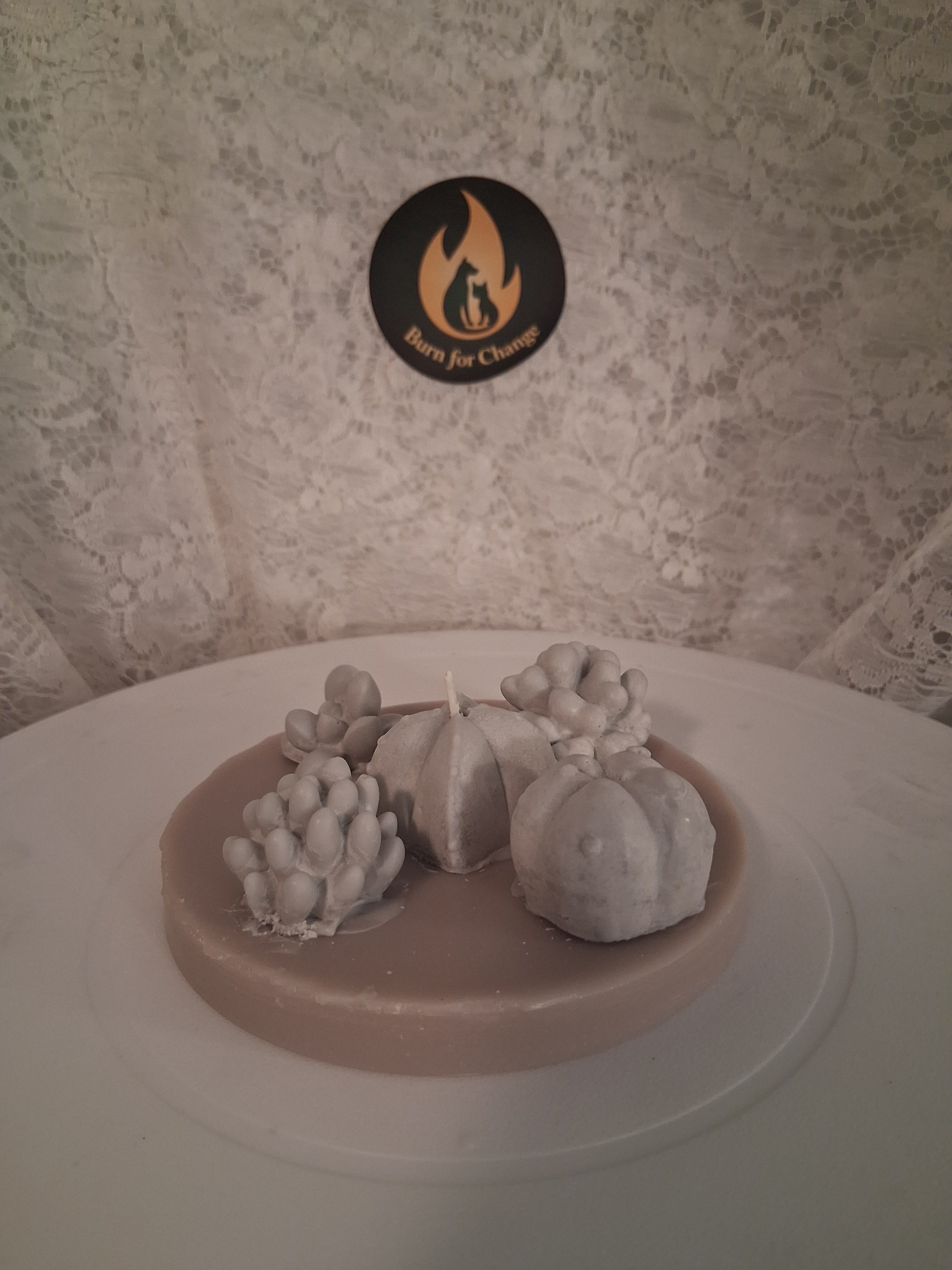 Oasis Succulent Cluster