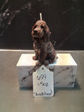 Bloodhound Trail Torch