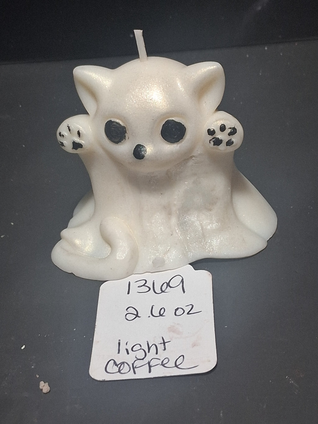 BOO! Cat
