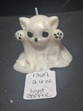 BOO! Cat