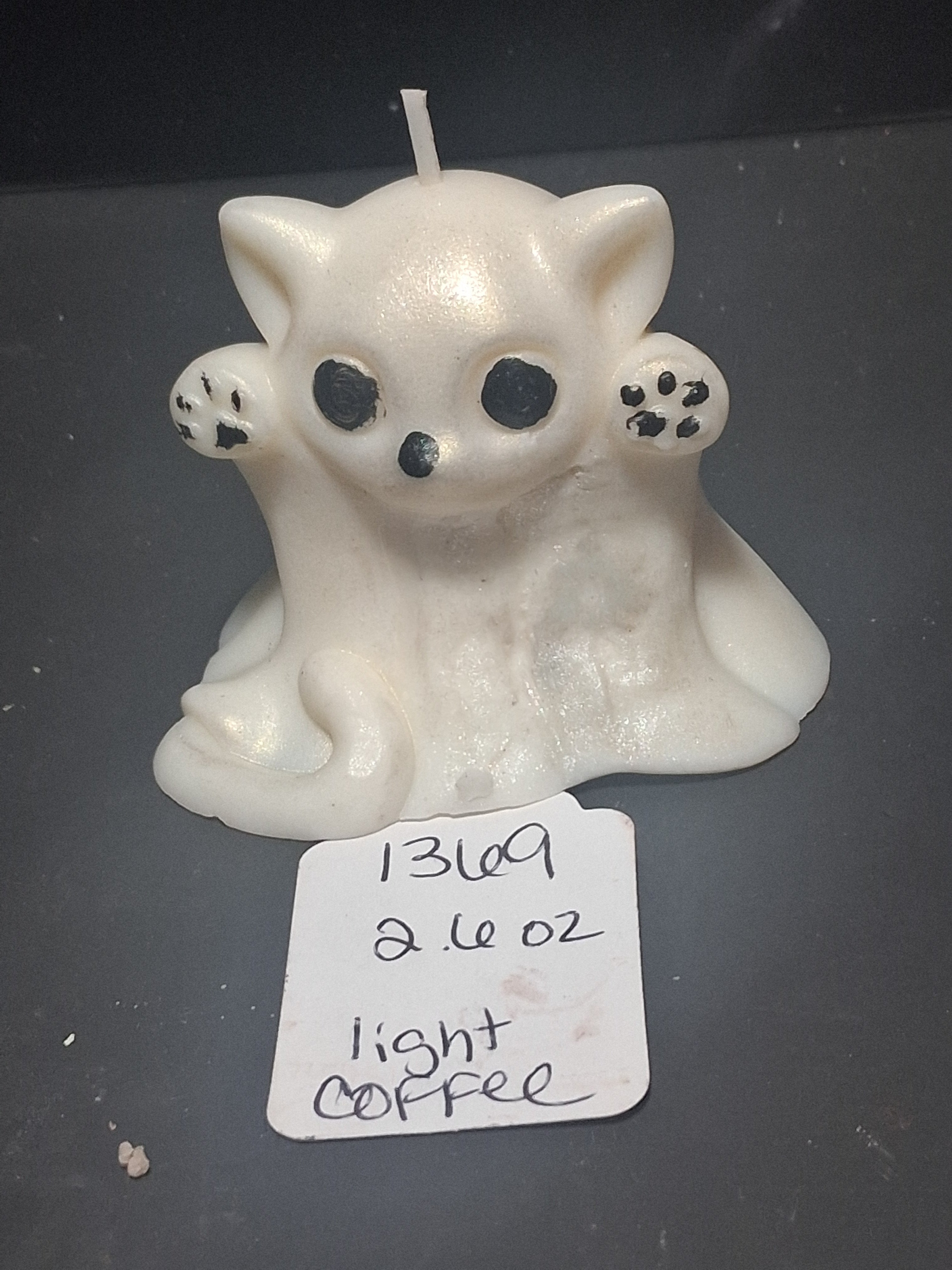 BOO! Cat