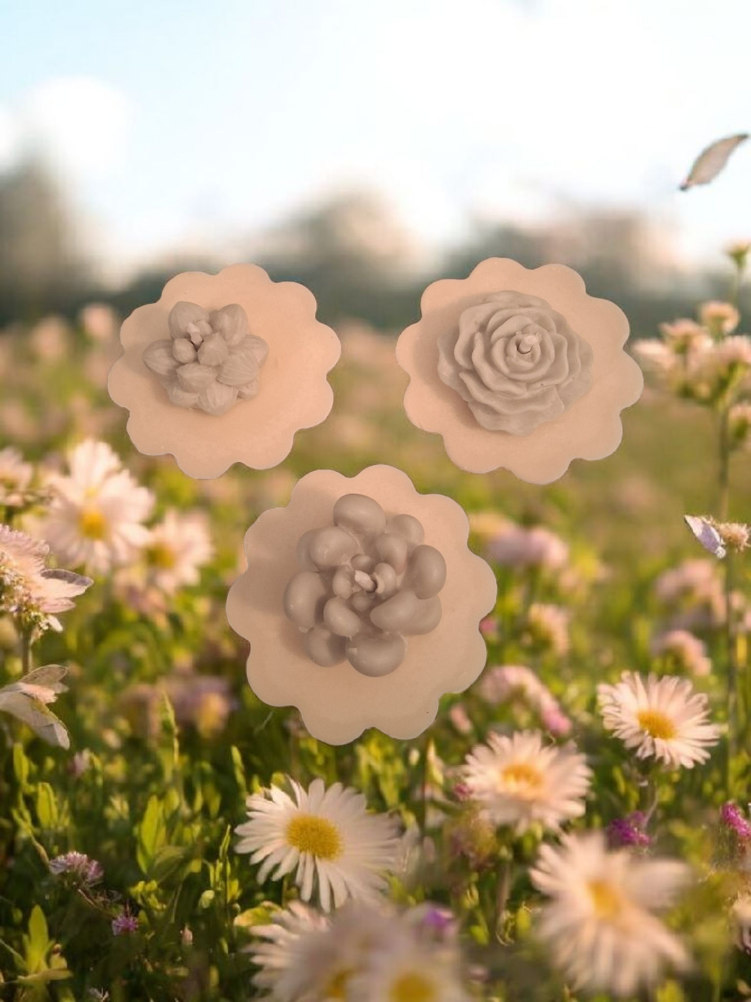 Succulent Garden Trio