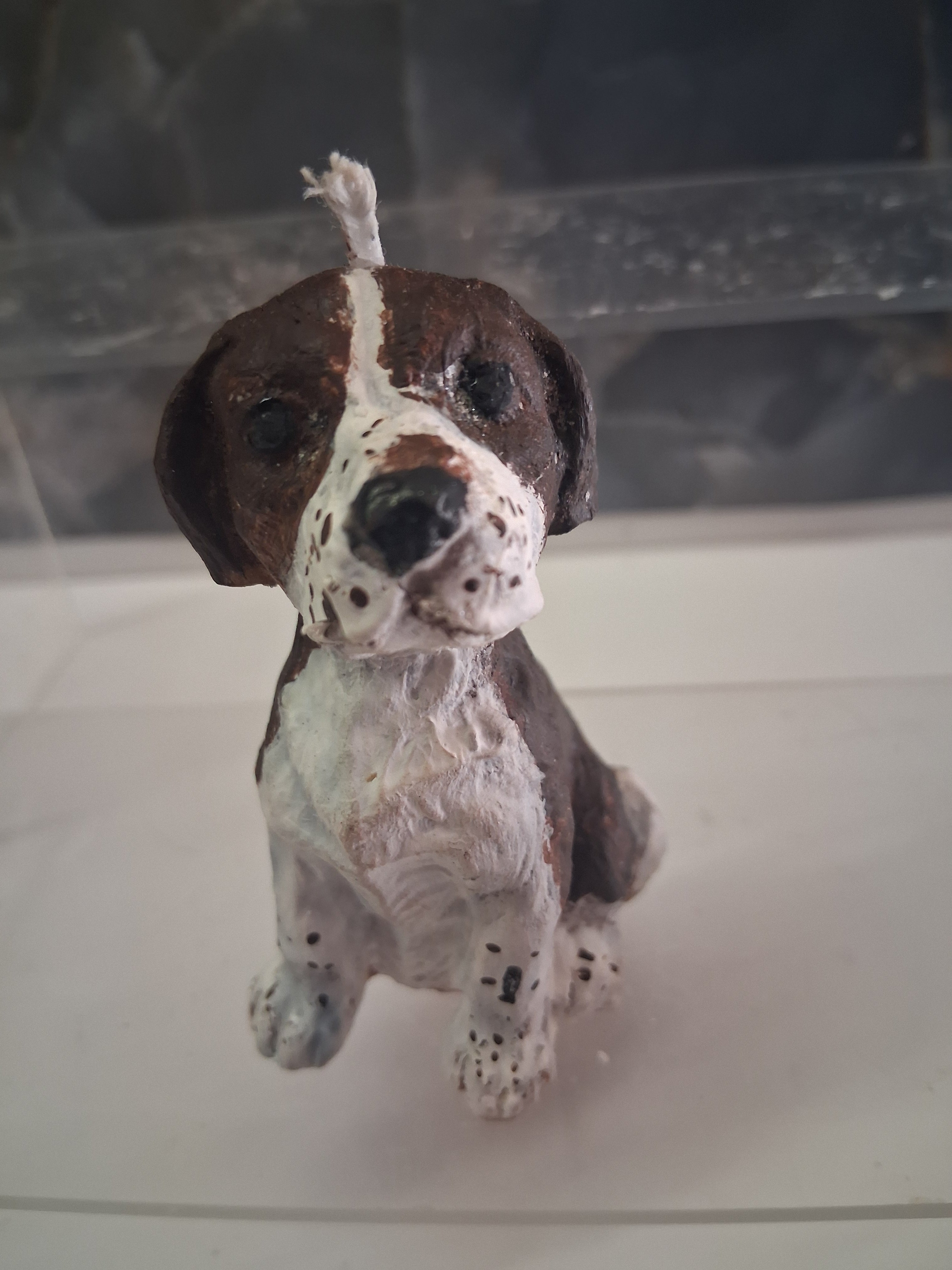 Beagle Brigade