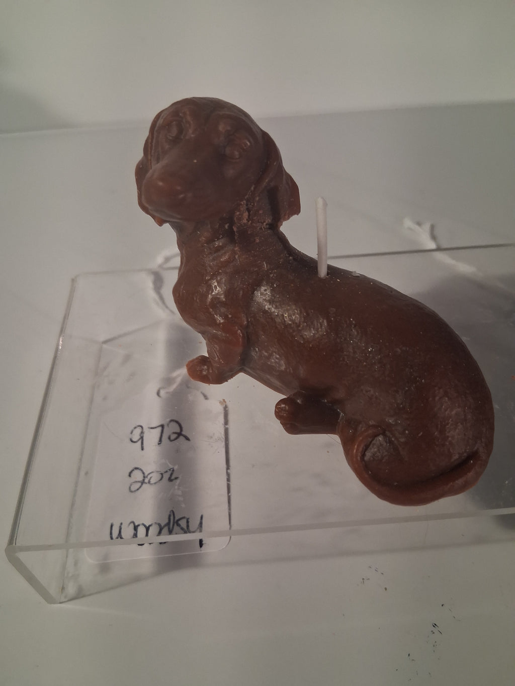 Dachshund Glow