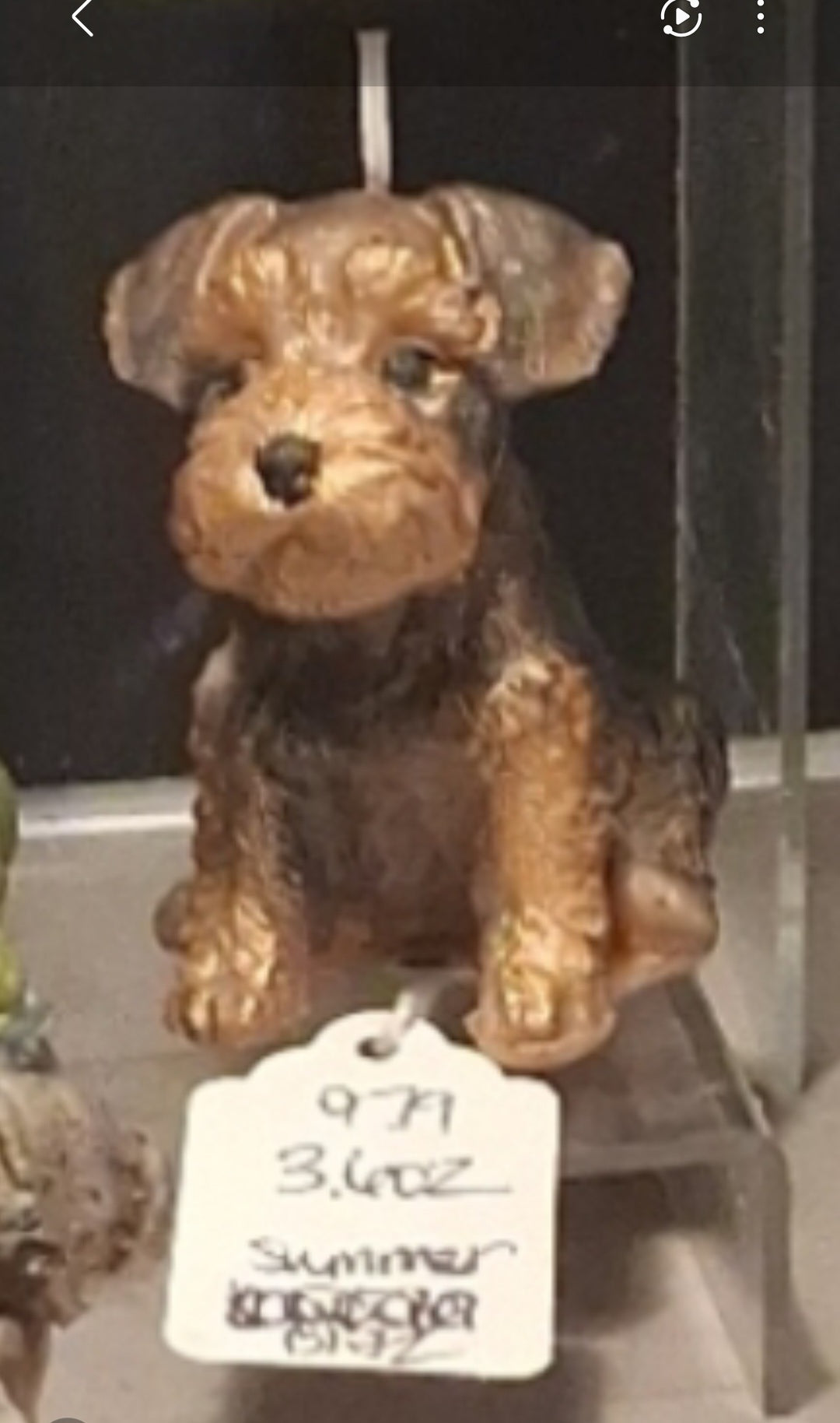 Scottish Terrier