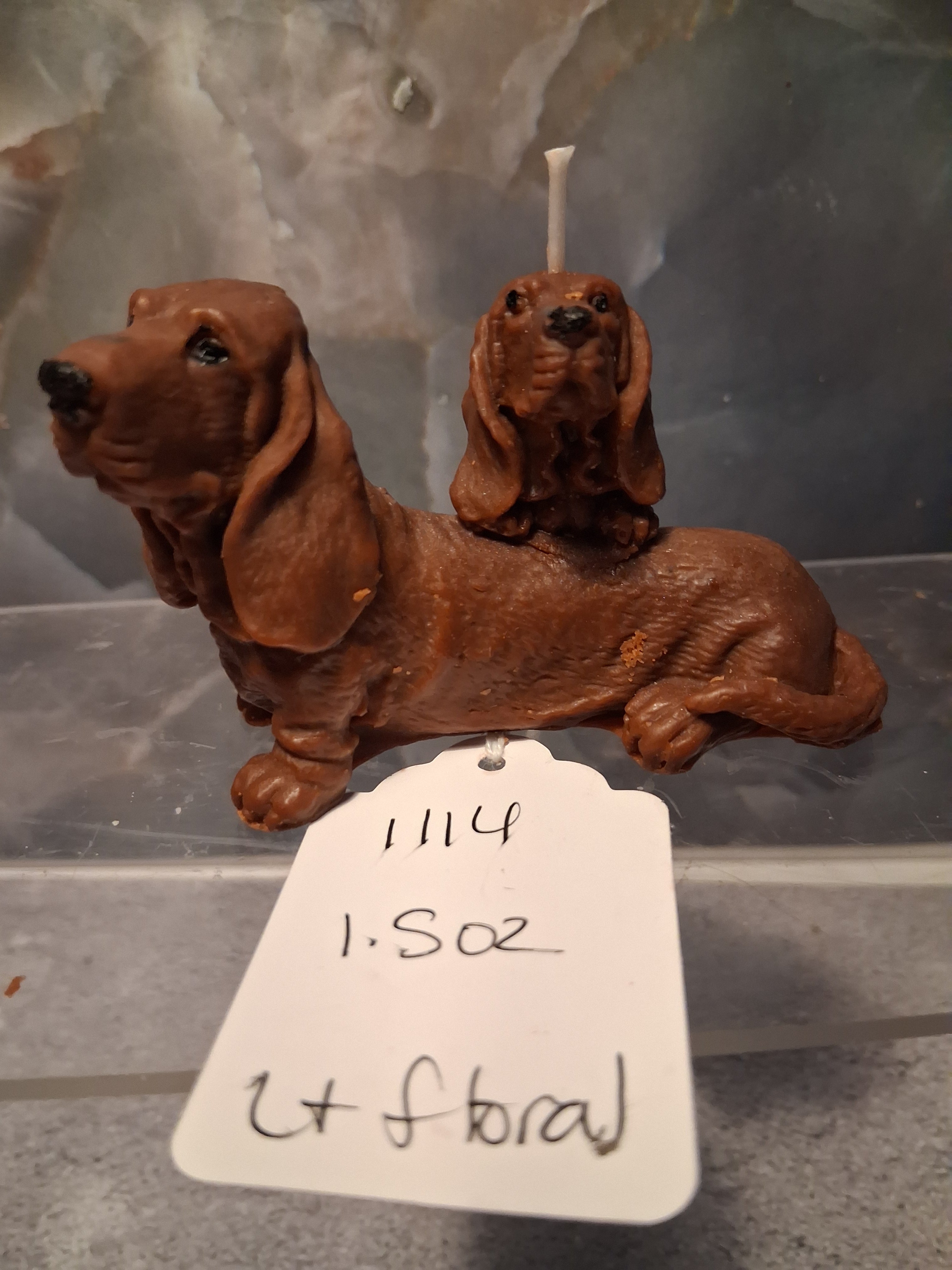 Bassett Buddies