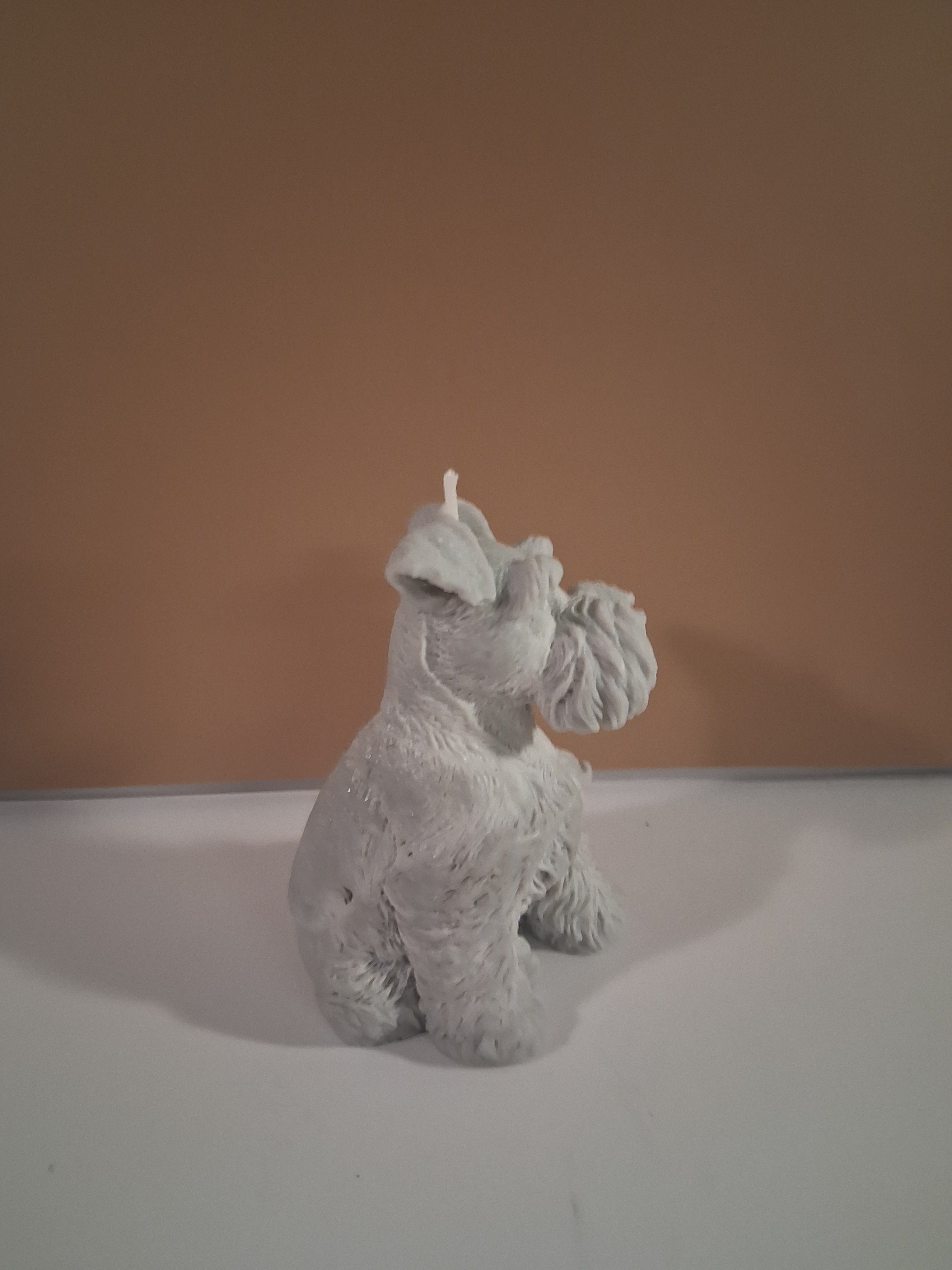 Schnauzer Spunkhouse