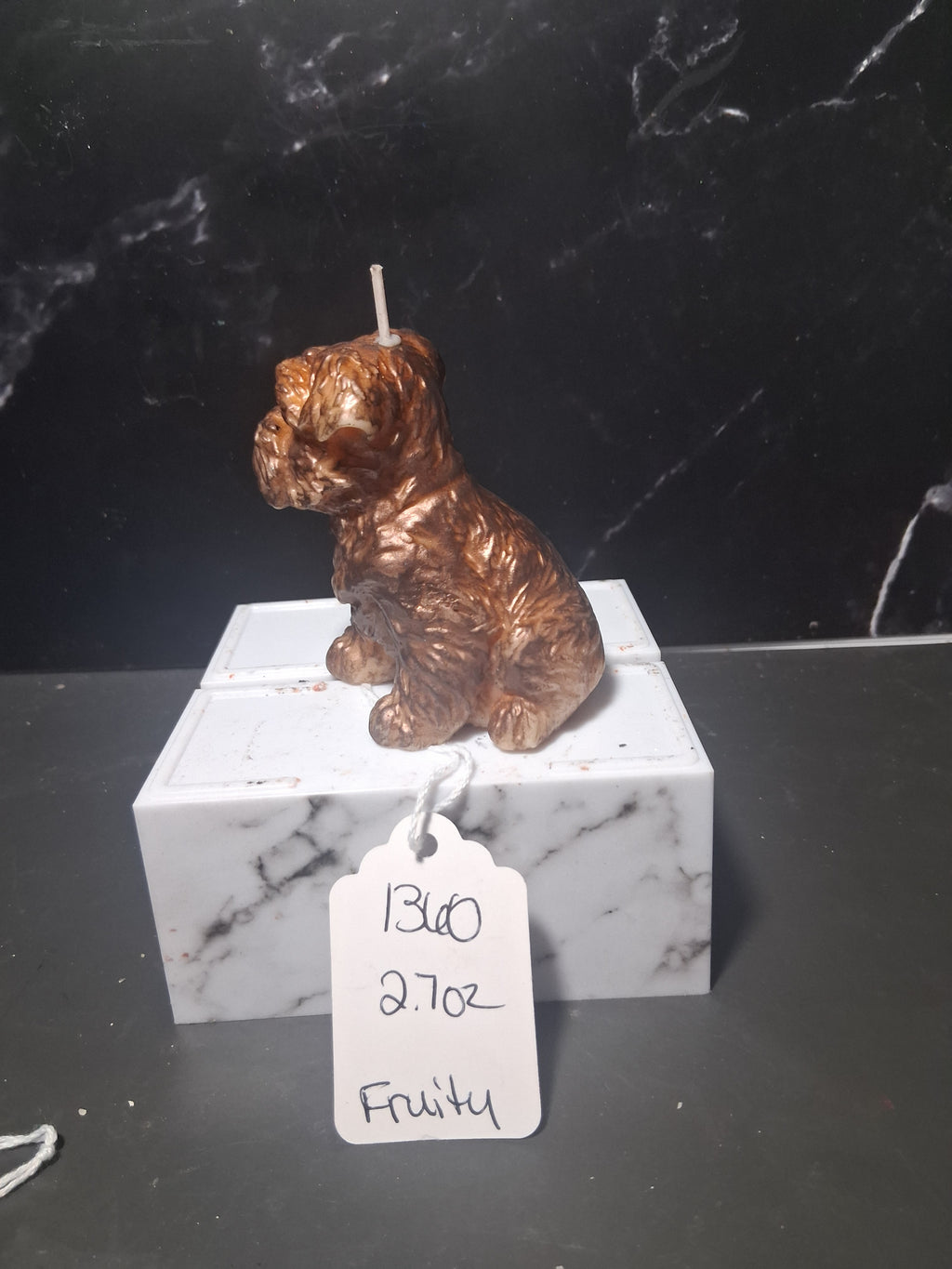 Terrier Treasure