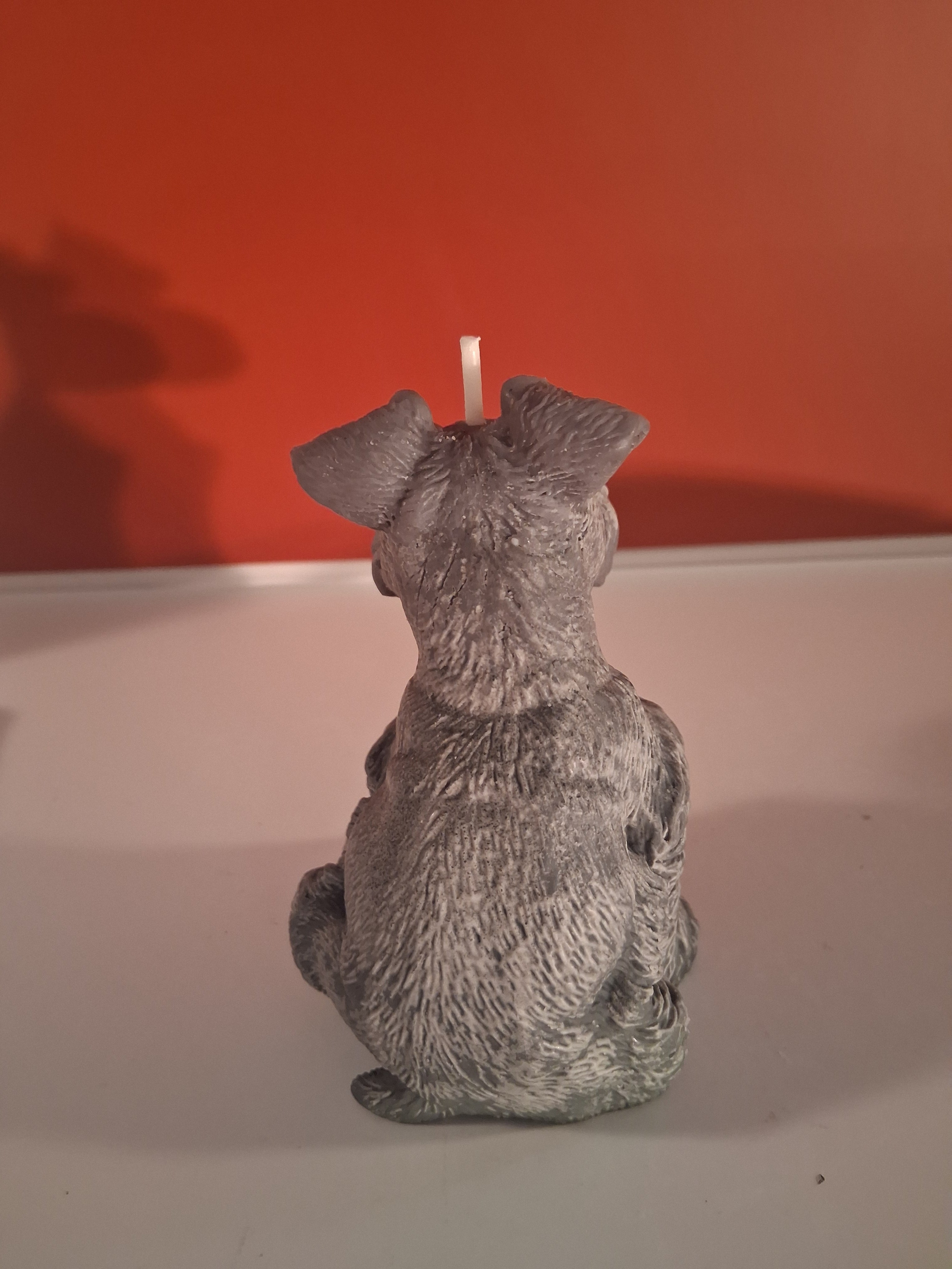 Schnauzer Spunkhouse