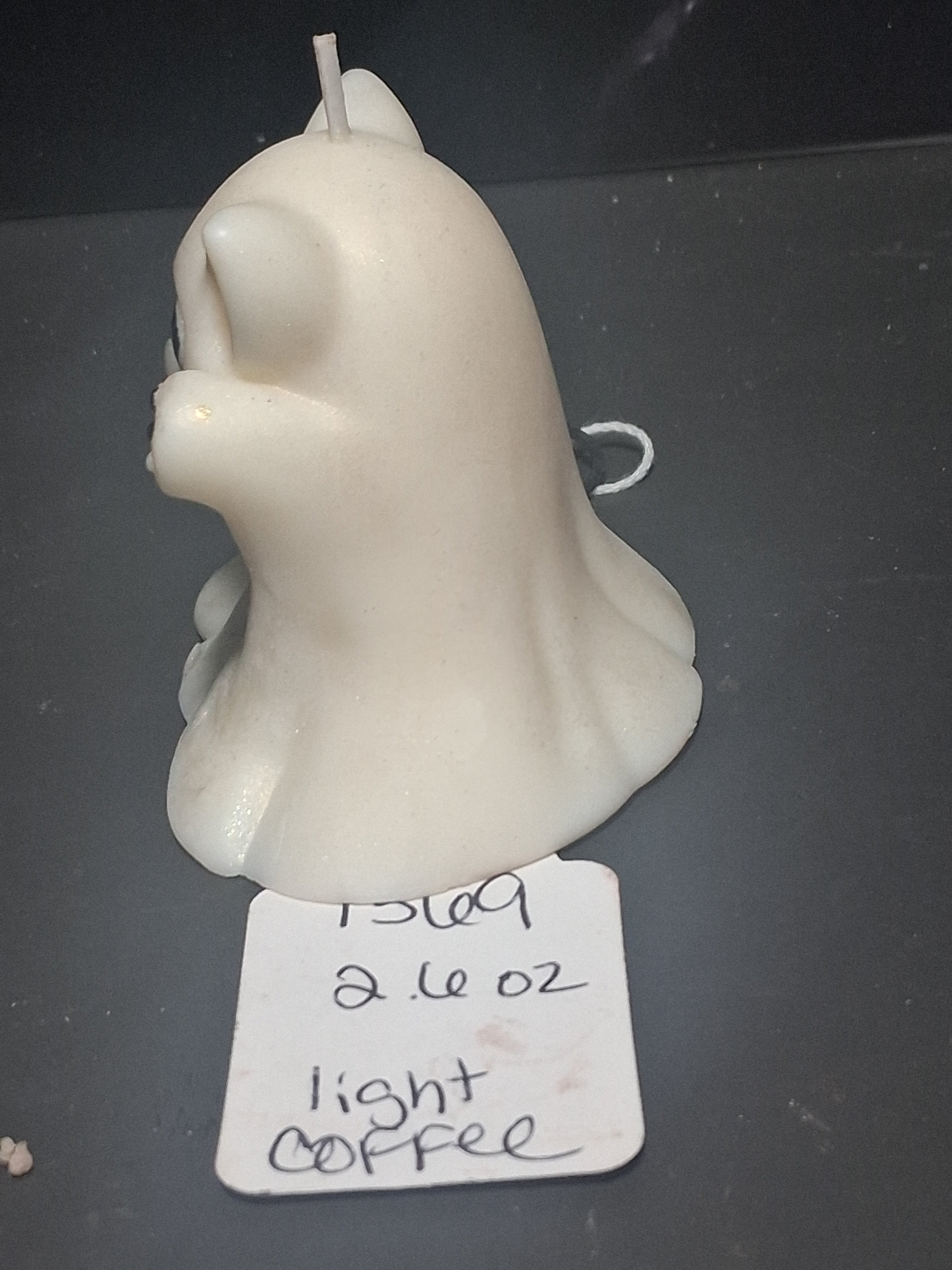 BOO! Cat