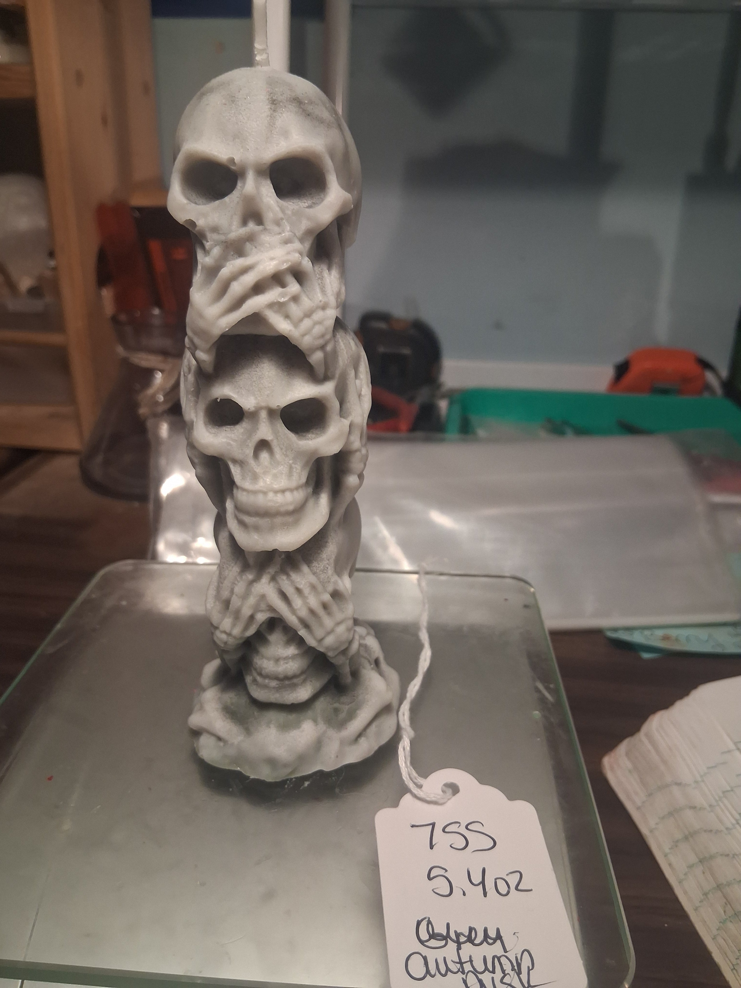 Silent Skull Sentinel ☠️