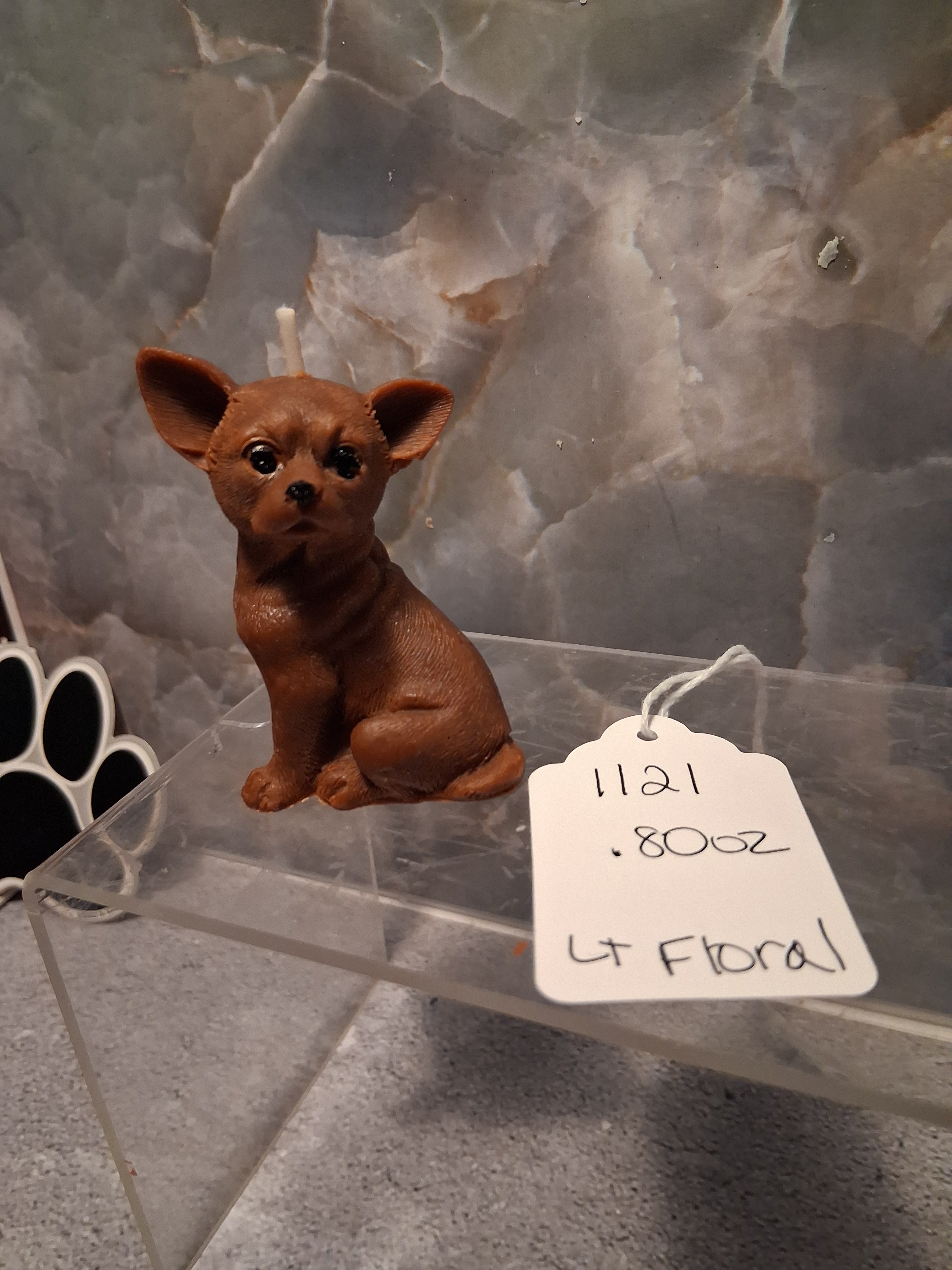 Bold Little Soul (Chihuahua)