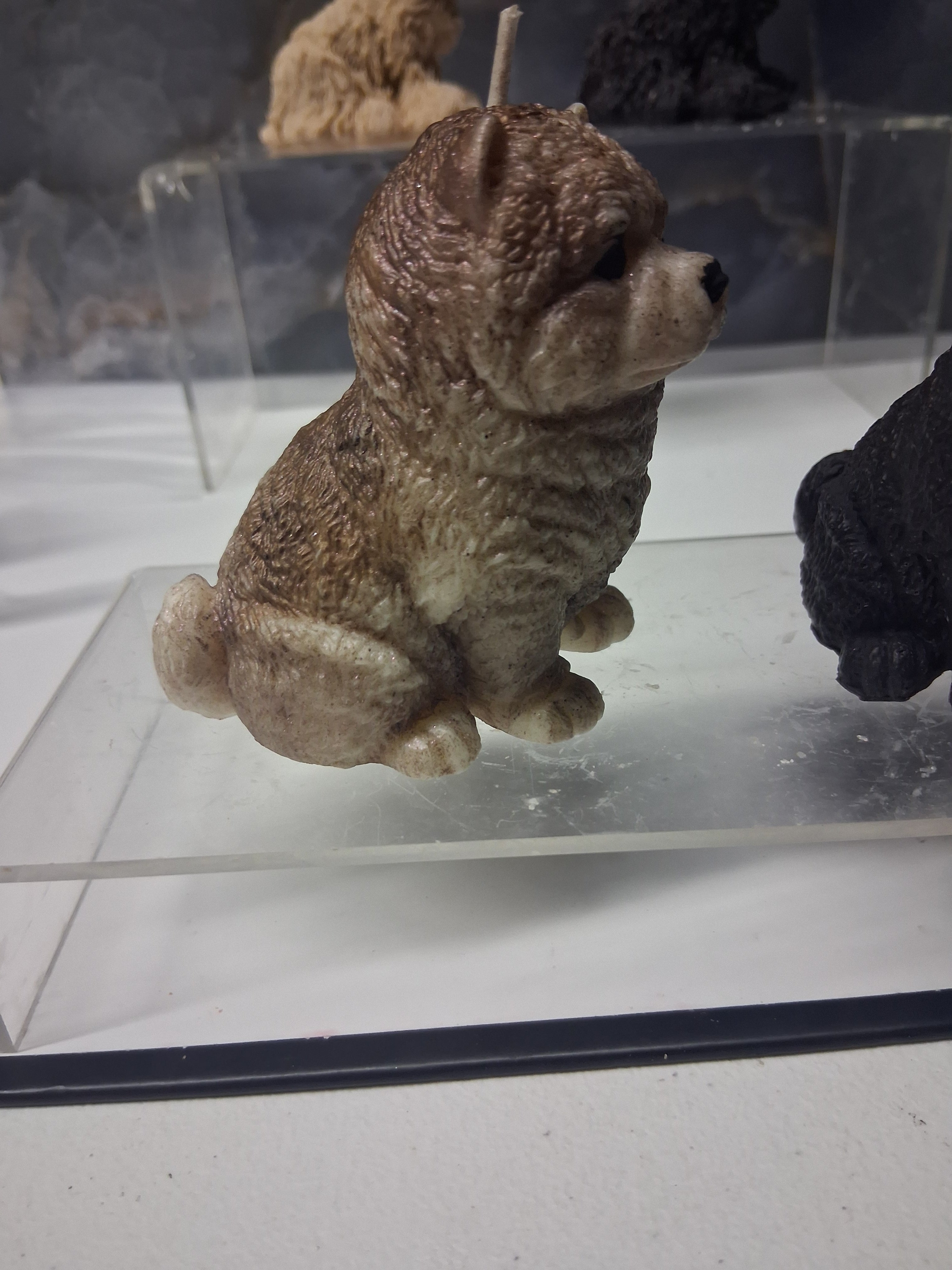 Chow Chow Charm