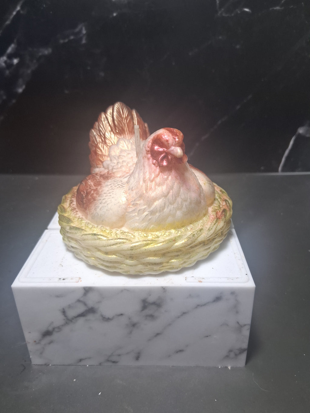 Nesting Hen