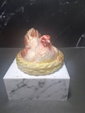 Nesting Hen