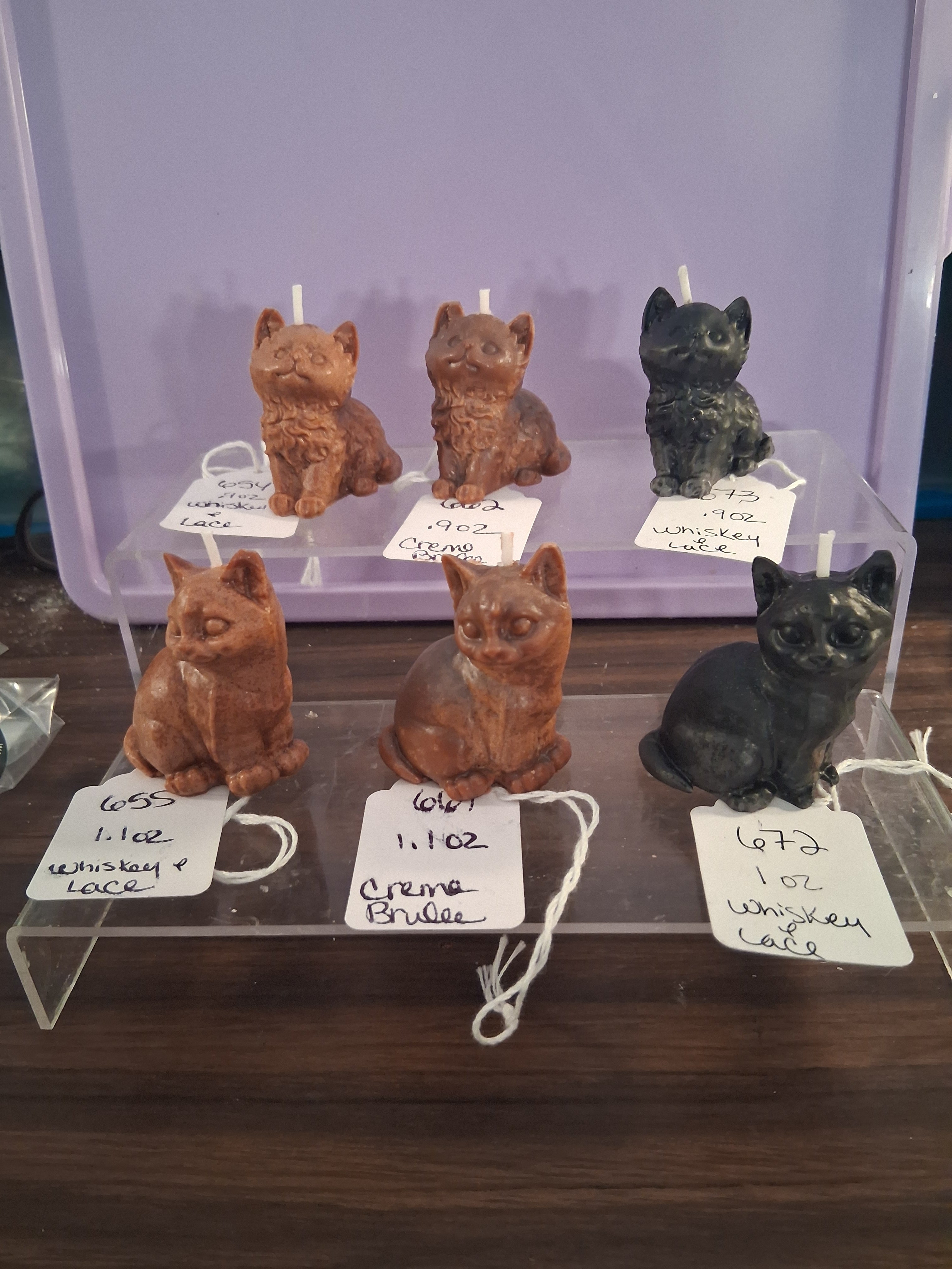 Sweet Kittens