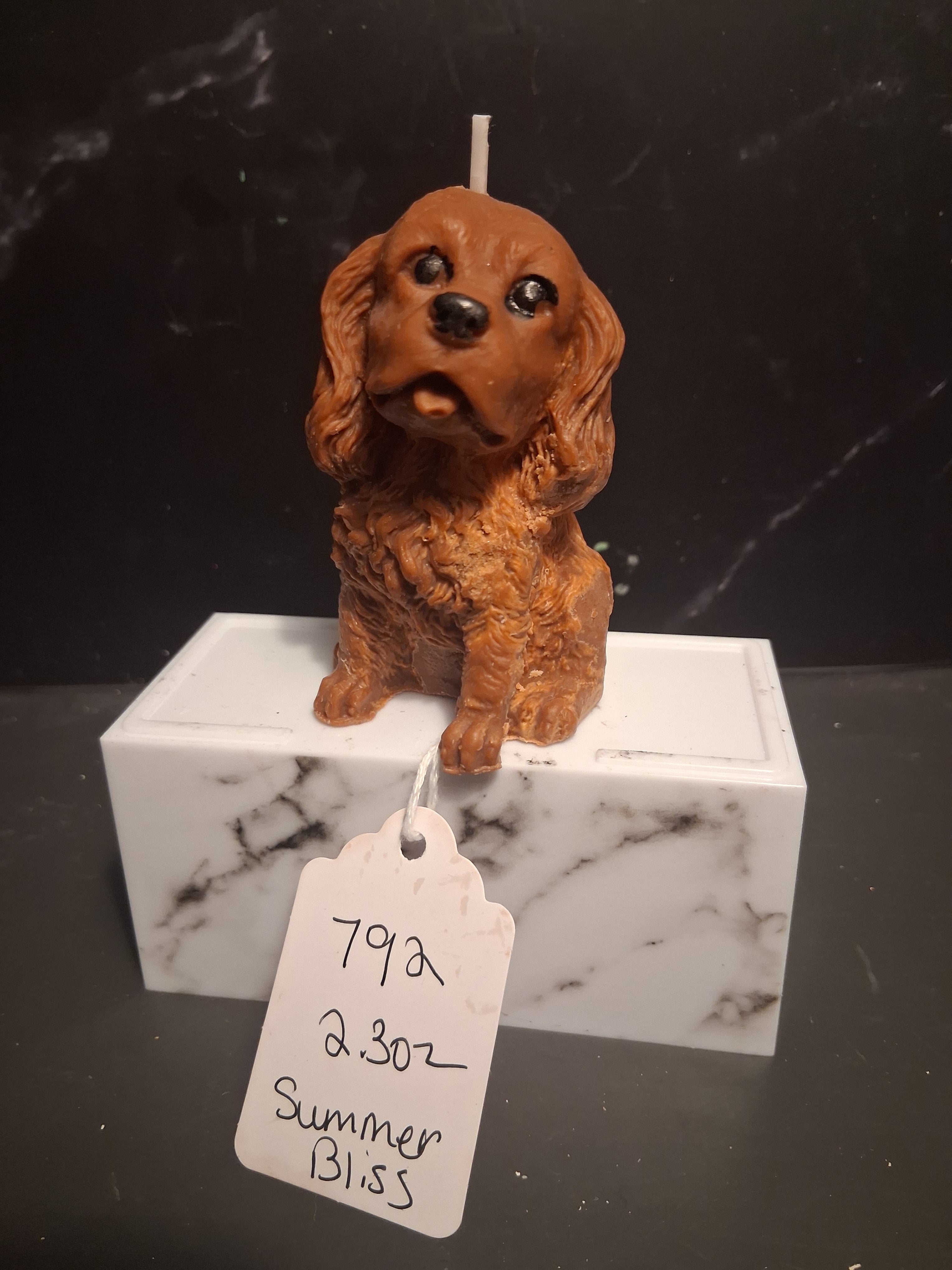 Cavalier Comfort