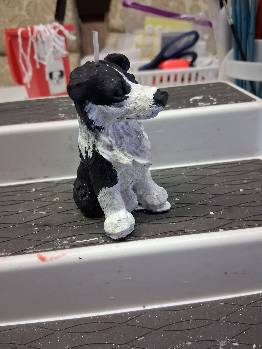 Brilliant Border Collie