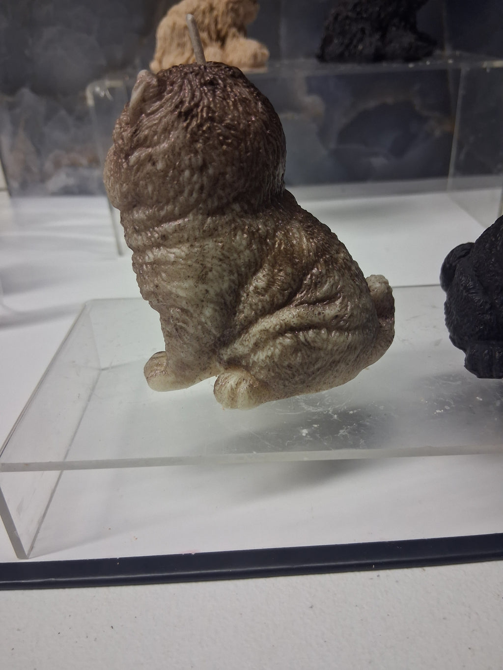 Chow Chow Charm