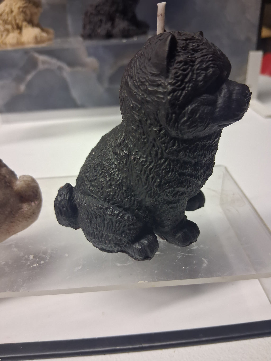 Chow Chow Charm