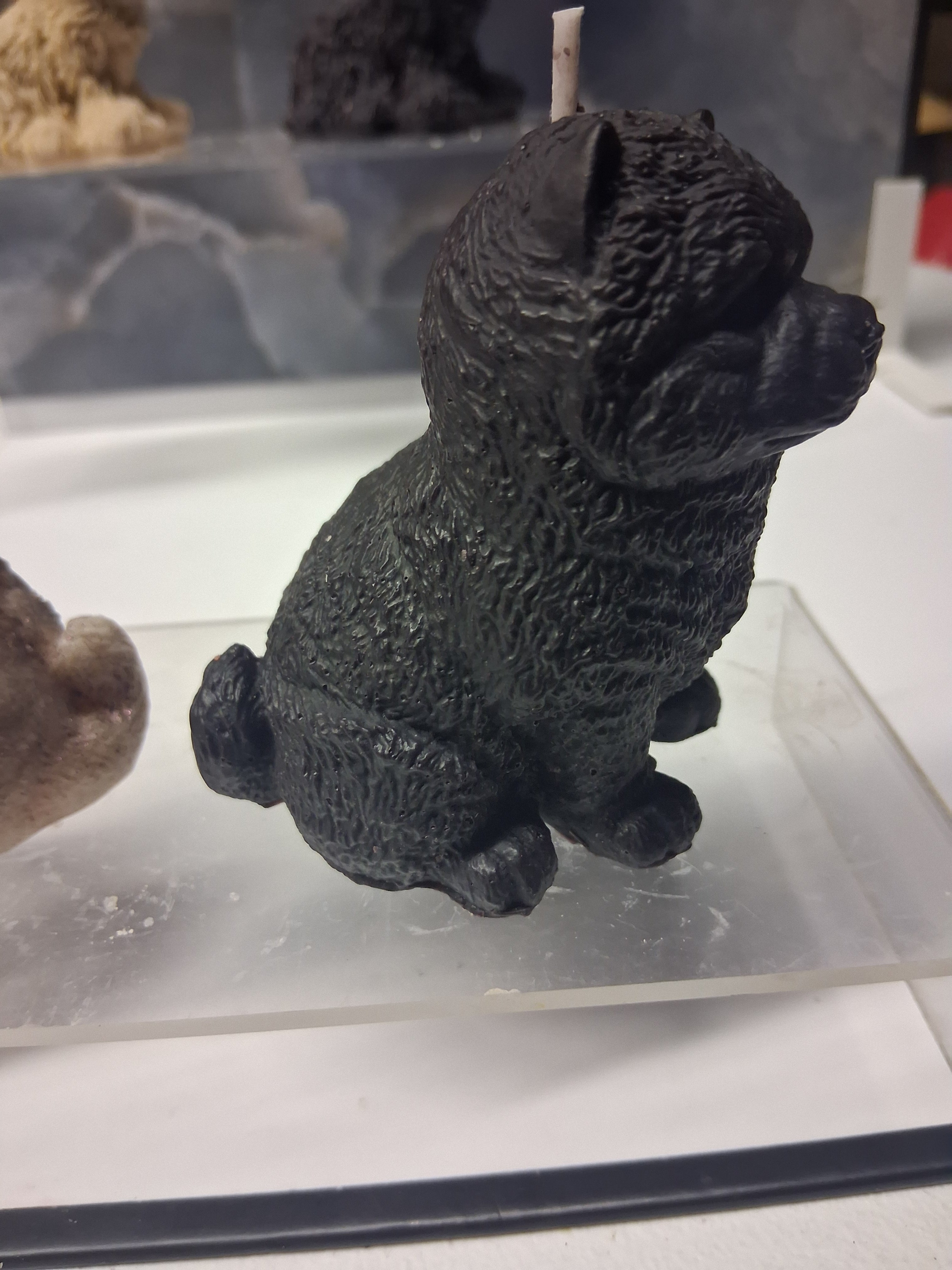 Chow Chow Charm
