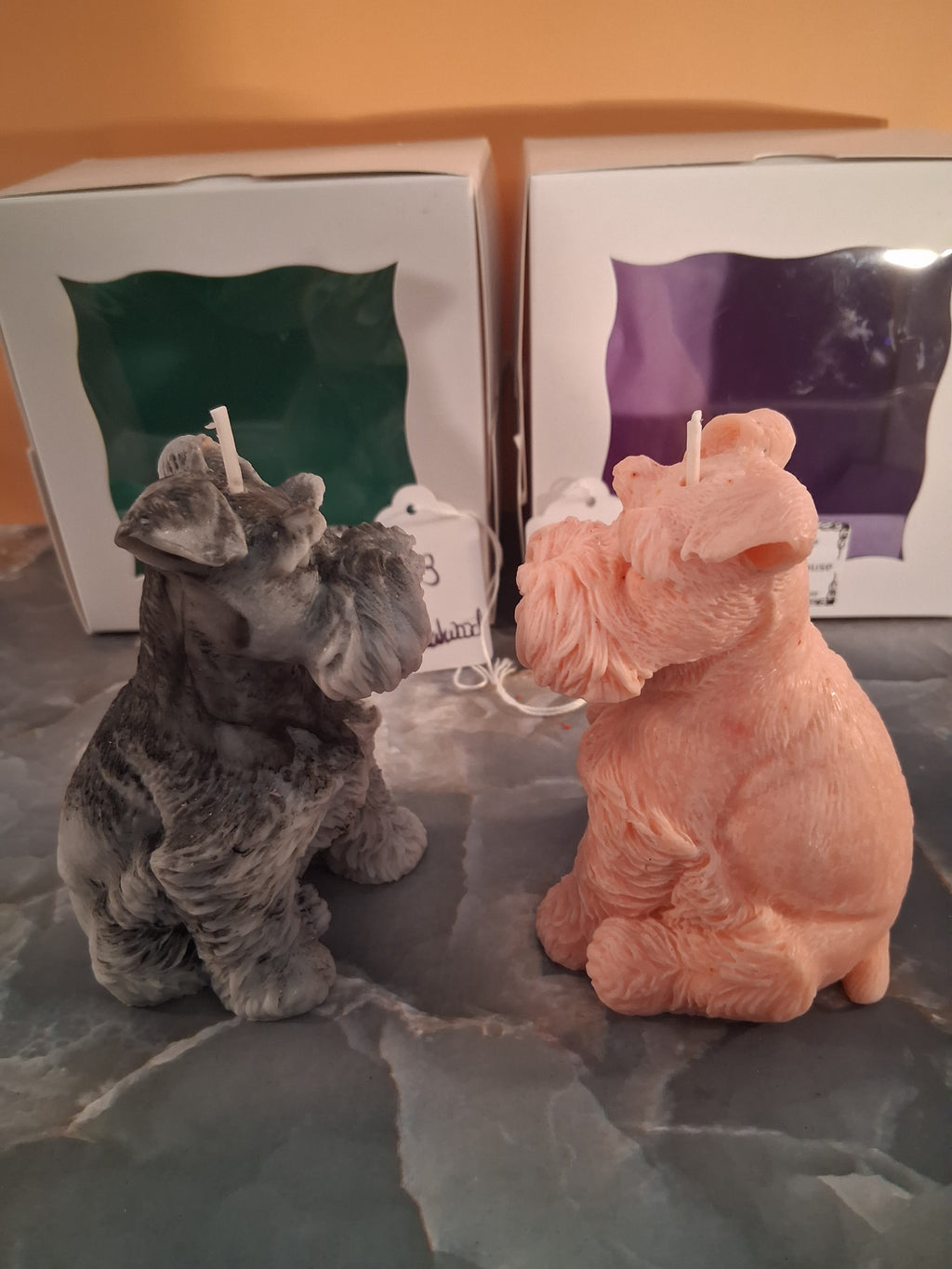 Schnauzer Spunkhouse