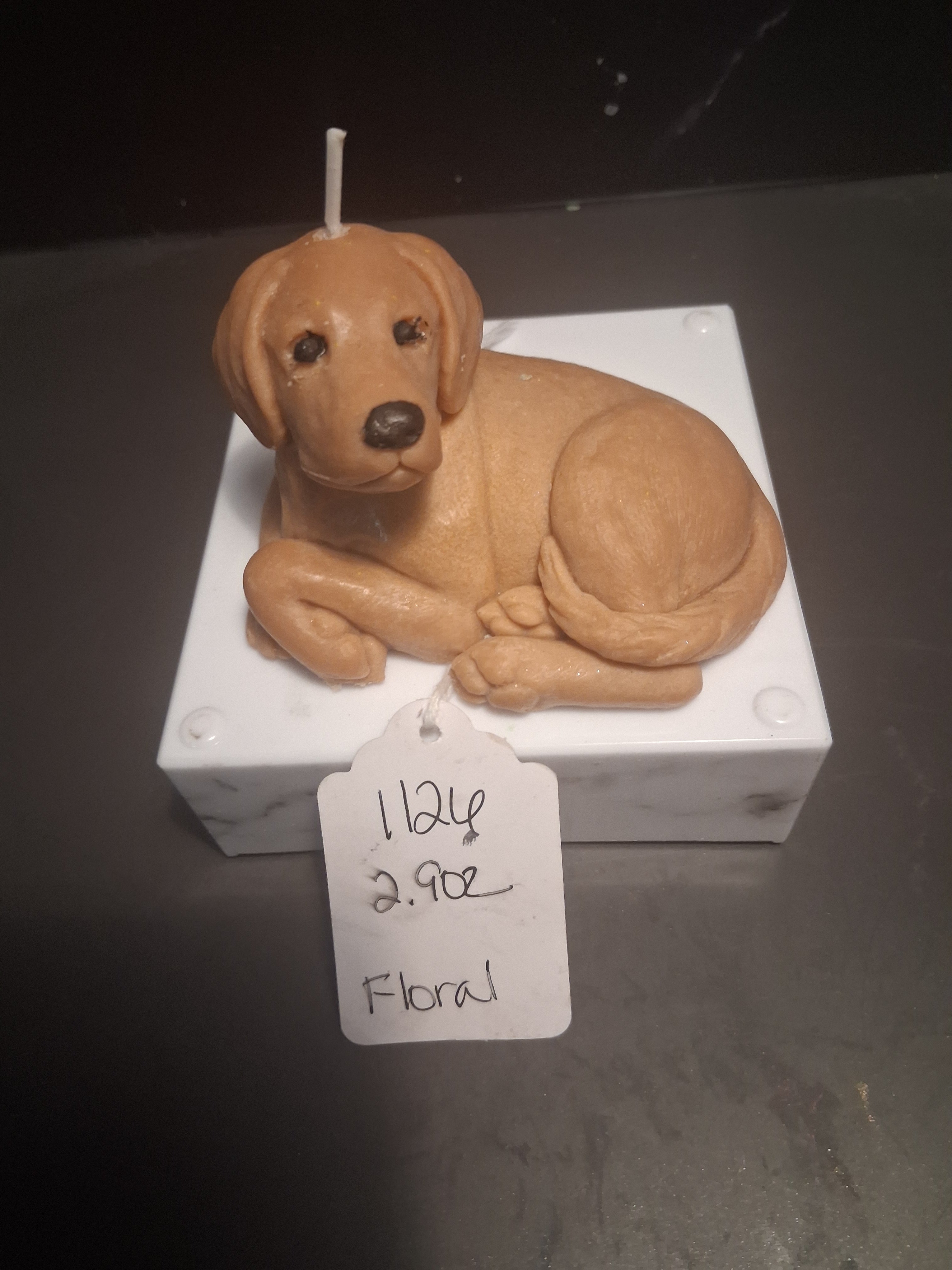 Loyal Pup Lodge