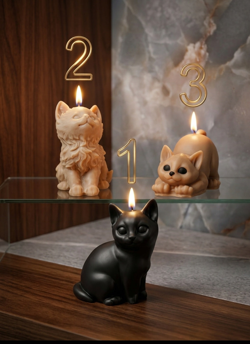 Sweet Kittens