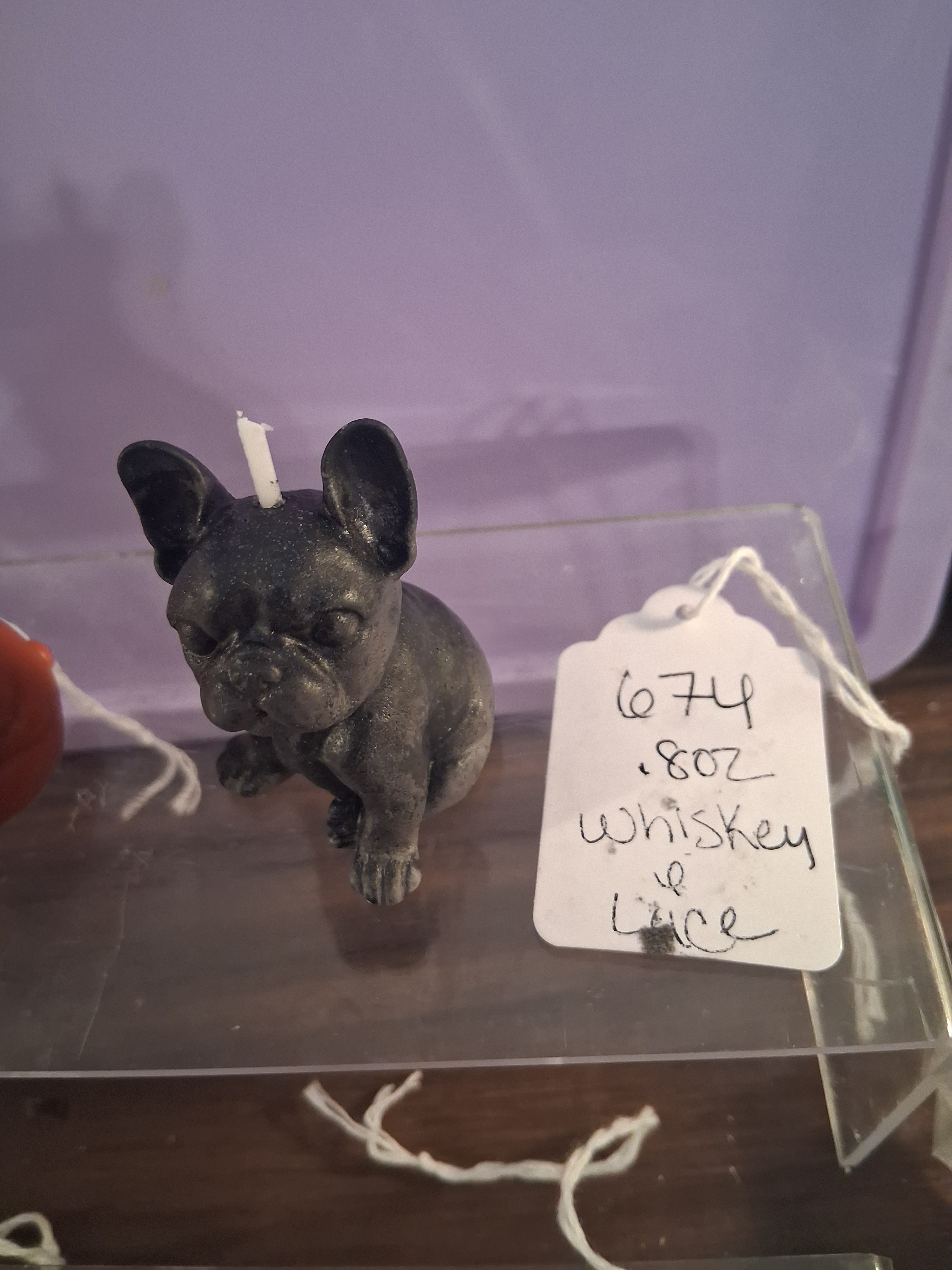 Frenchie Pup Flicker