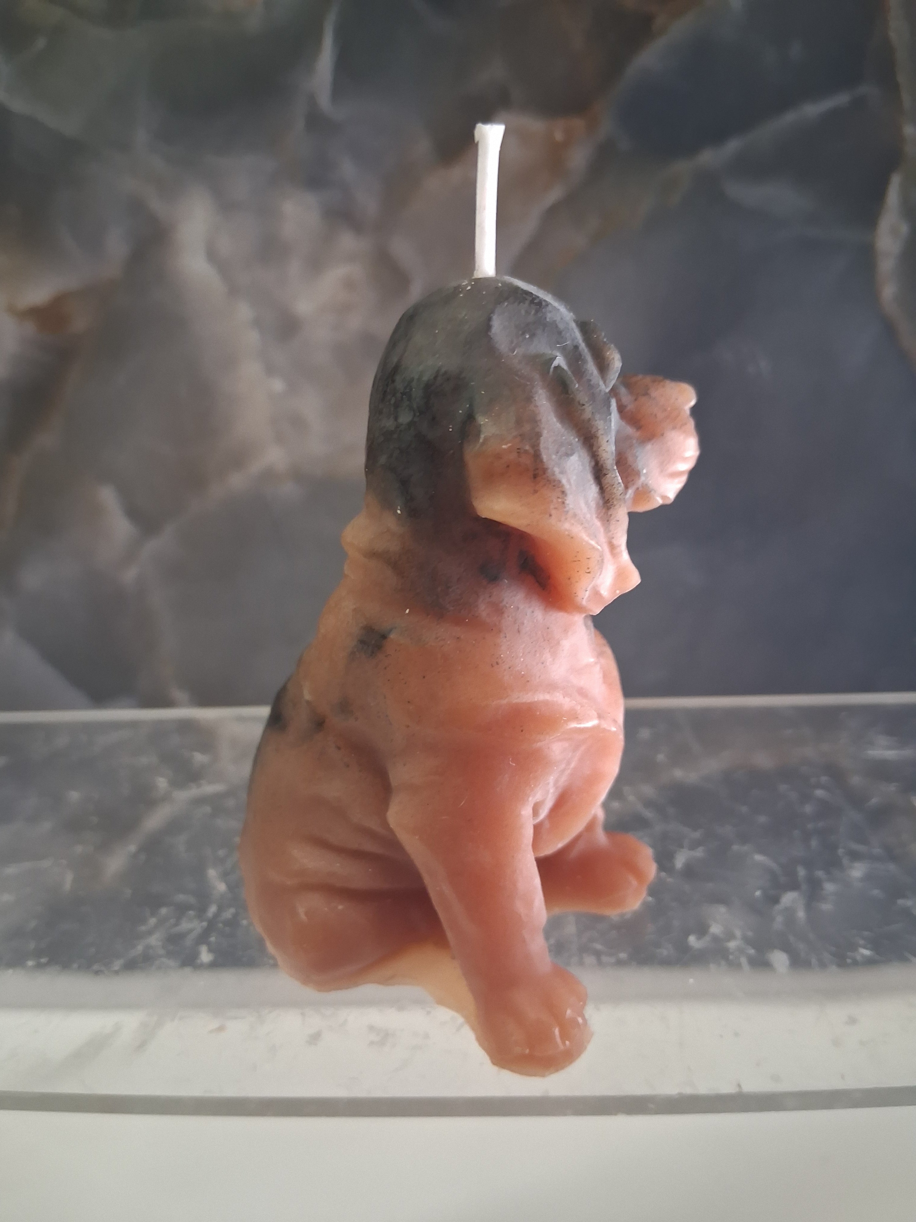 Bloodhound Trail Torch