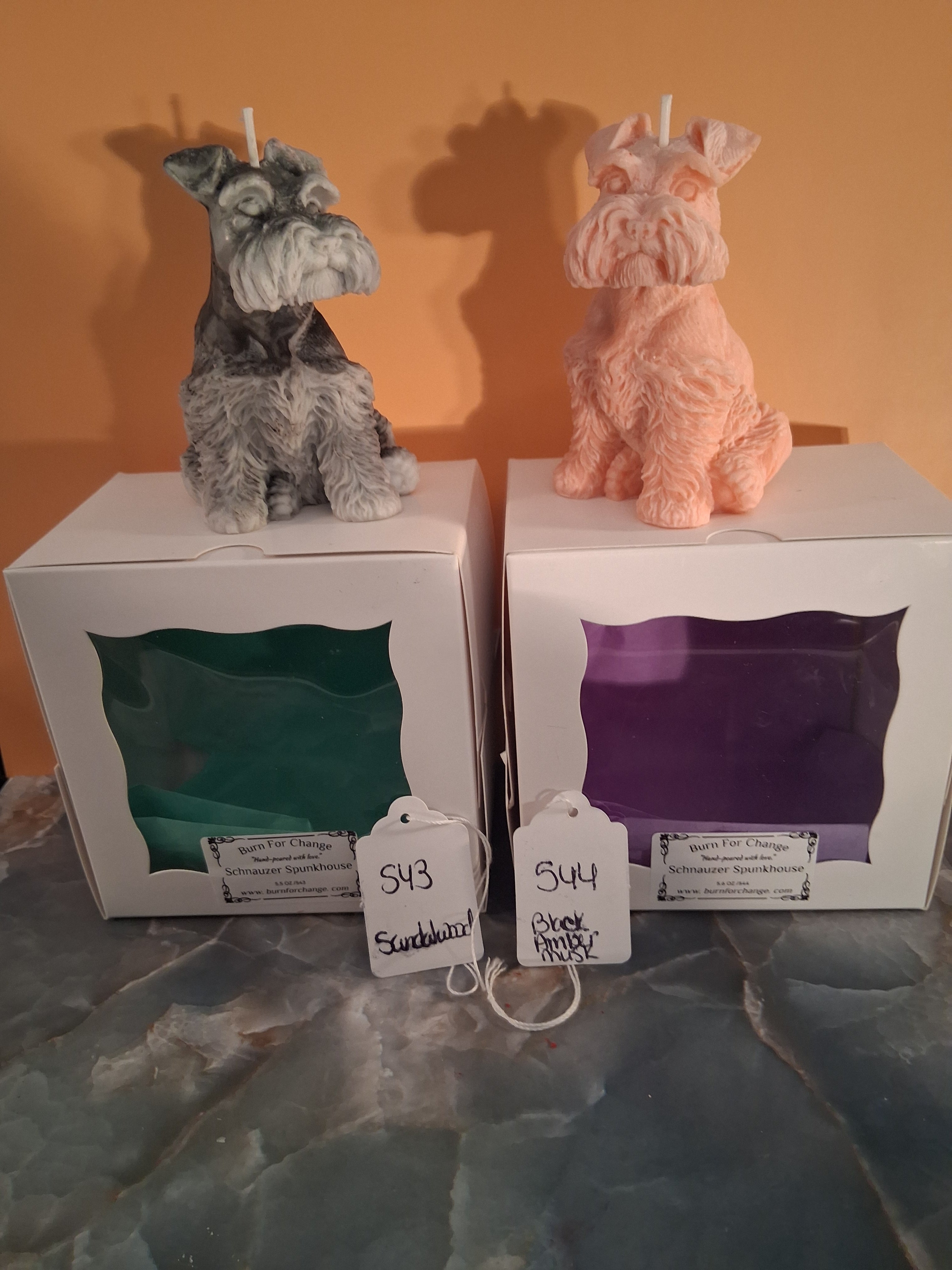 Schnauzer Spunkhouse