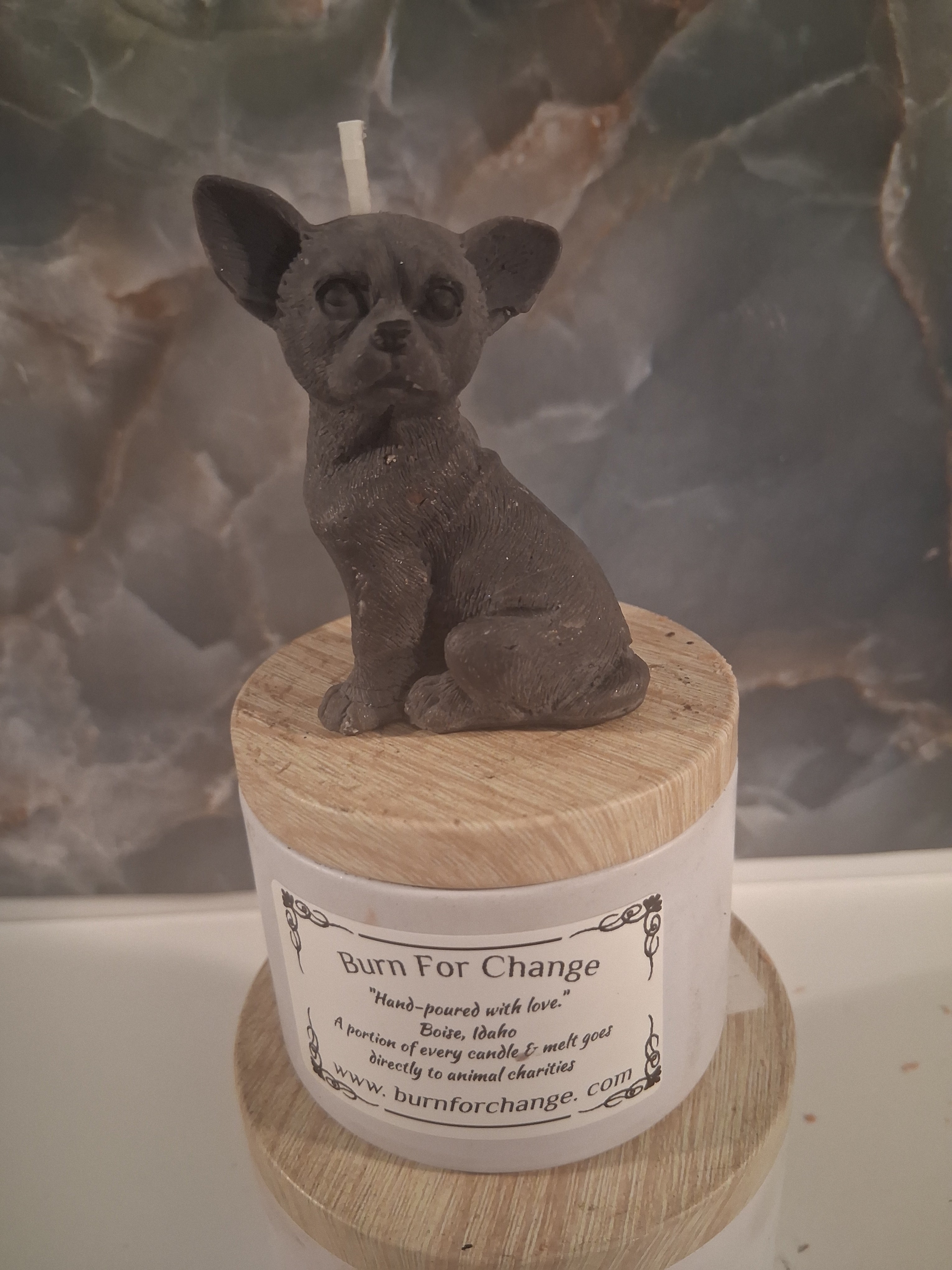 Bold Little Soul (Chihuahua)