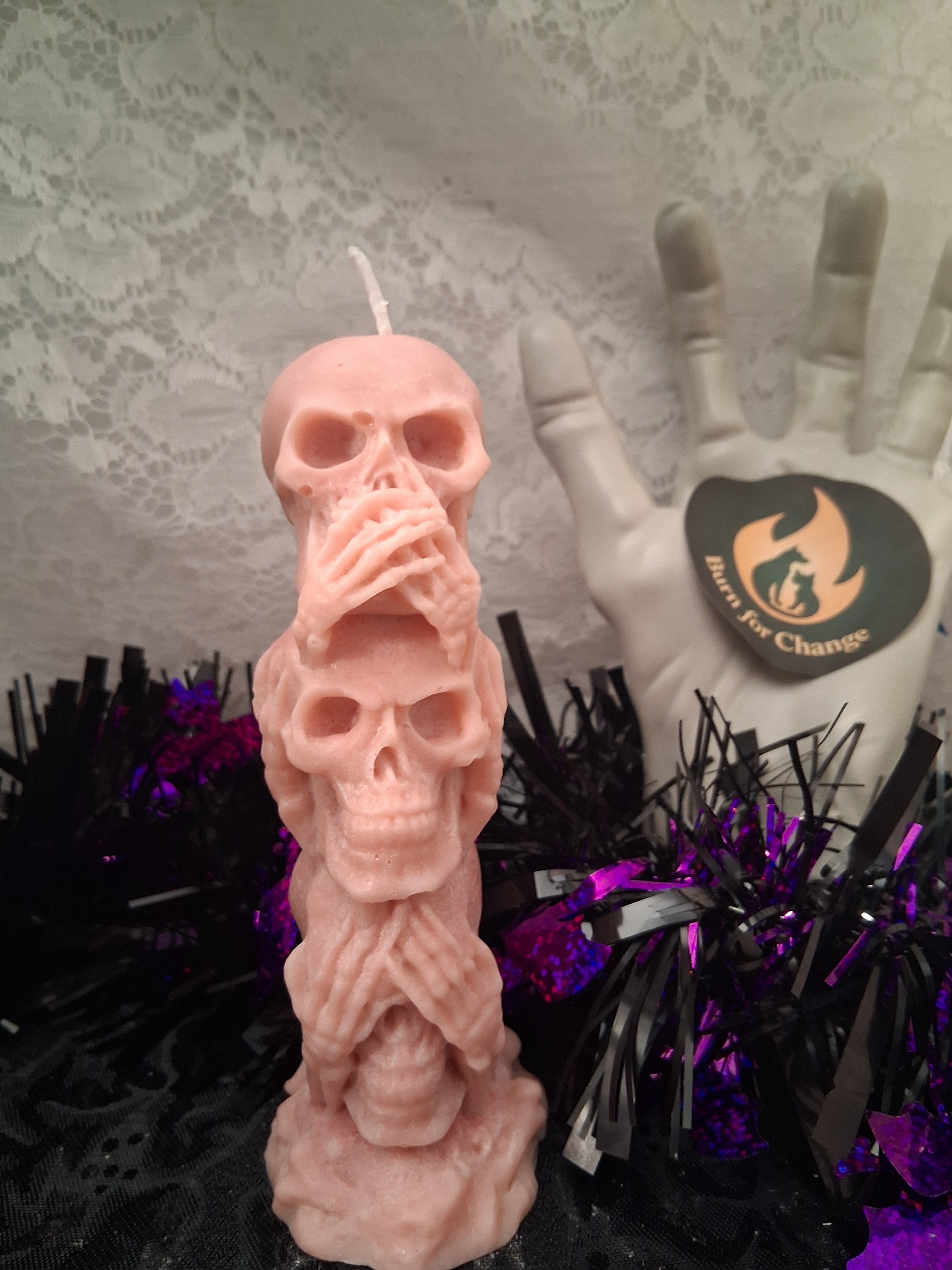 Silent Skull Sentinel ☠️