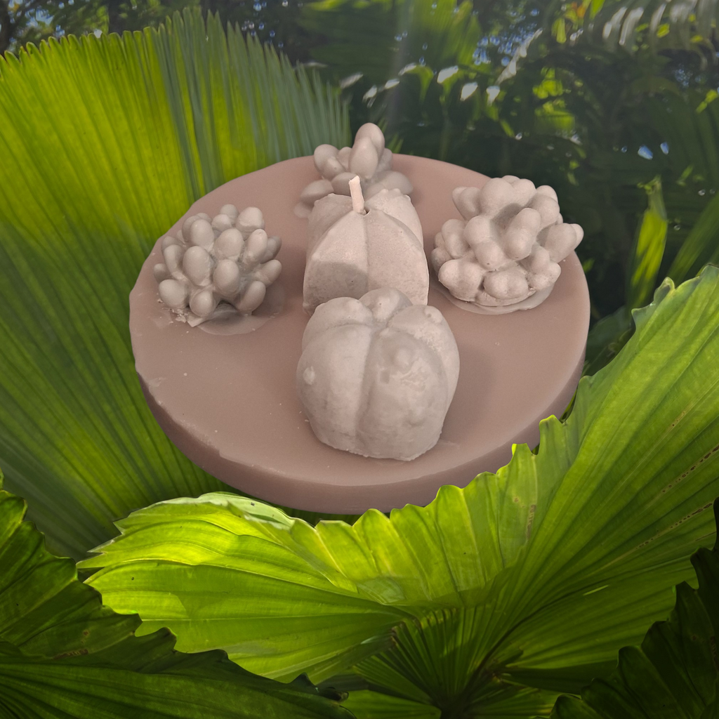 Oasis Succulent Cluster