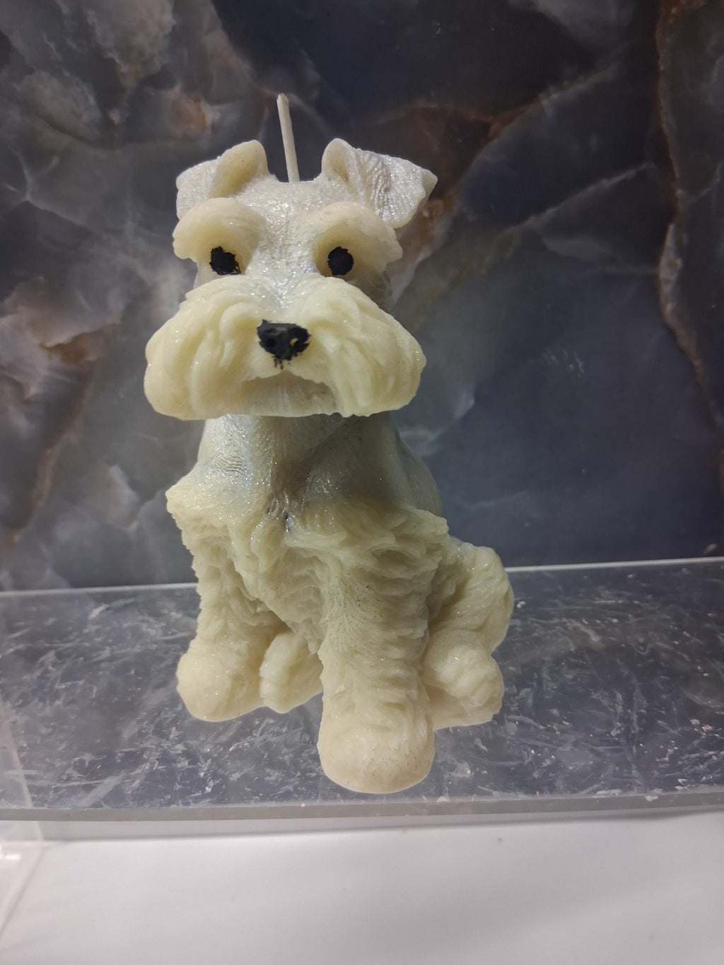Schnauzer Spunkhouse