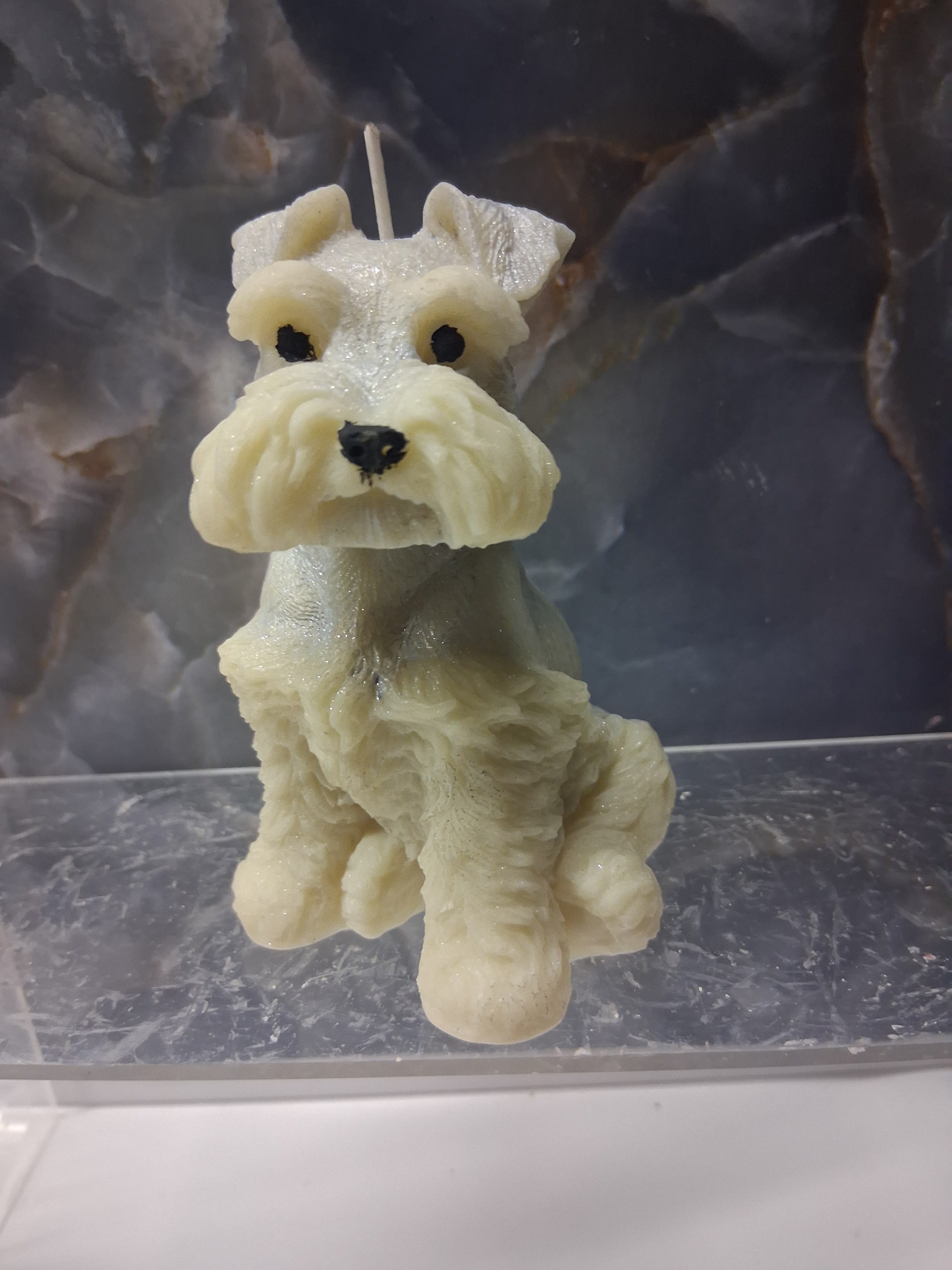 Schnauzer Spunkhouse