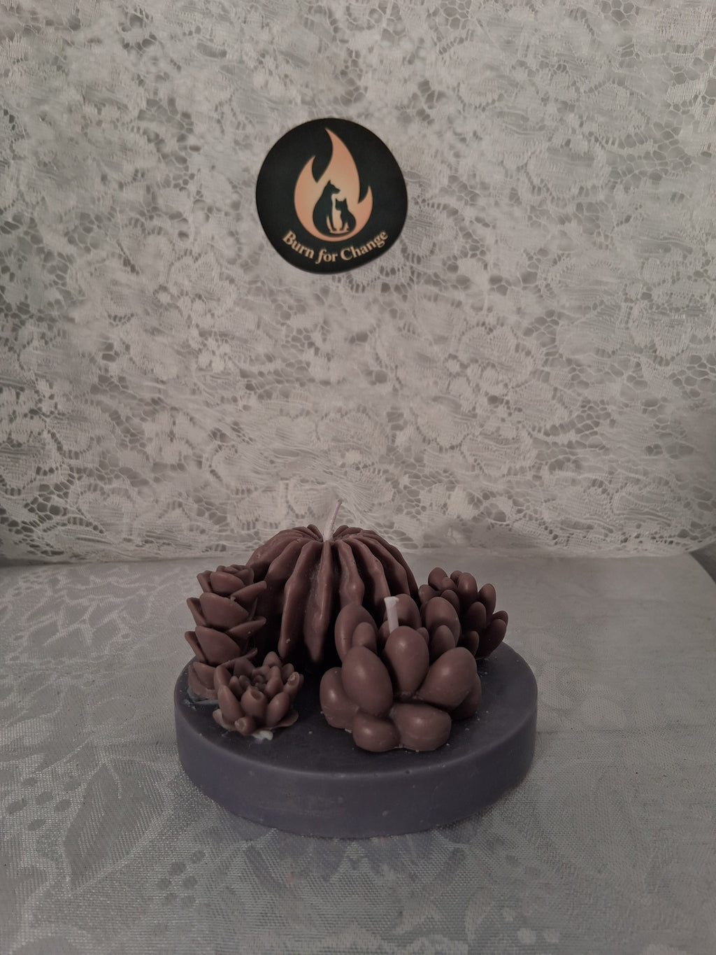 Succulent Sunset Blaze