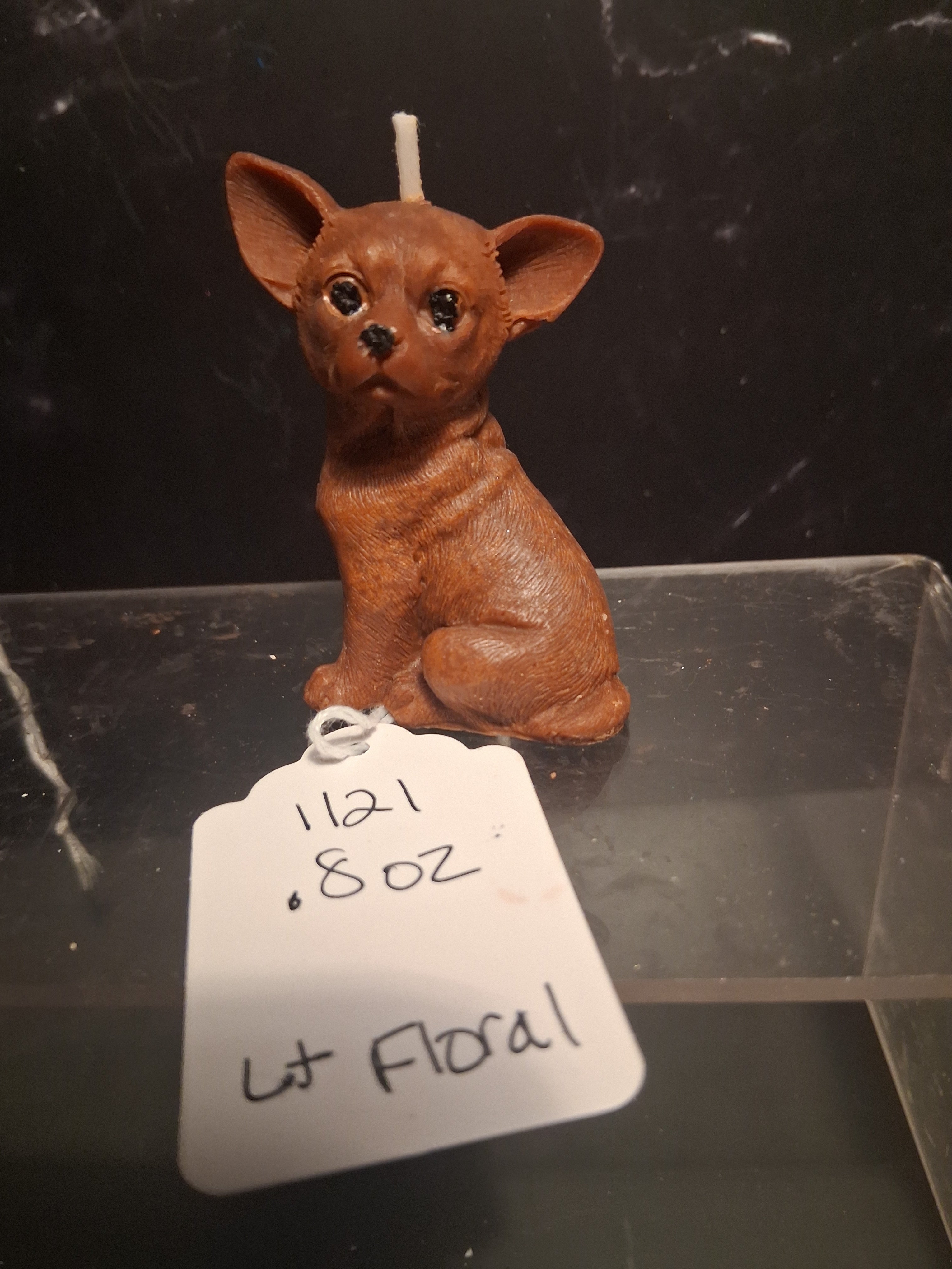 Bold Little Soul (Chihuahua)