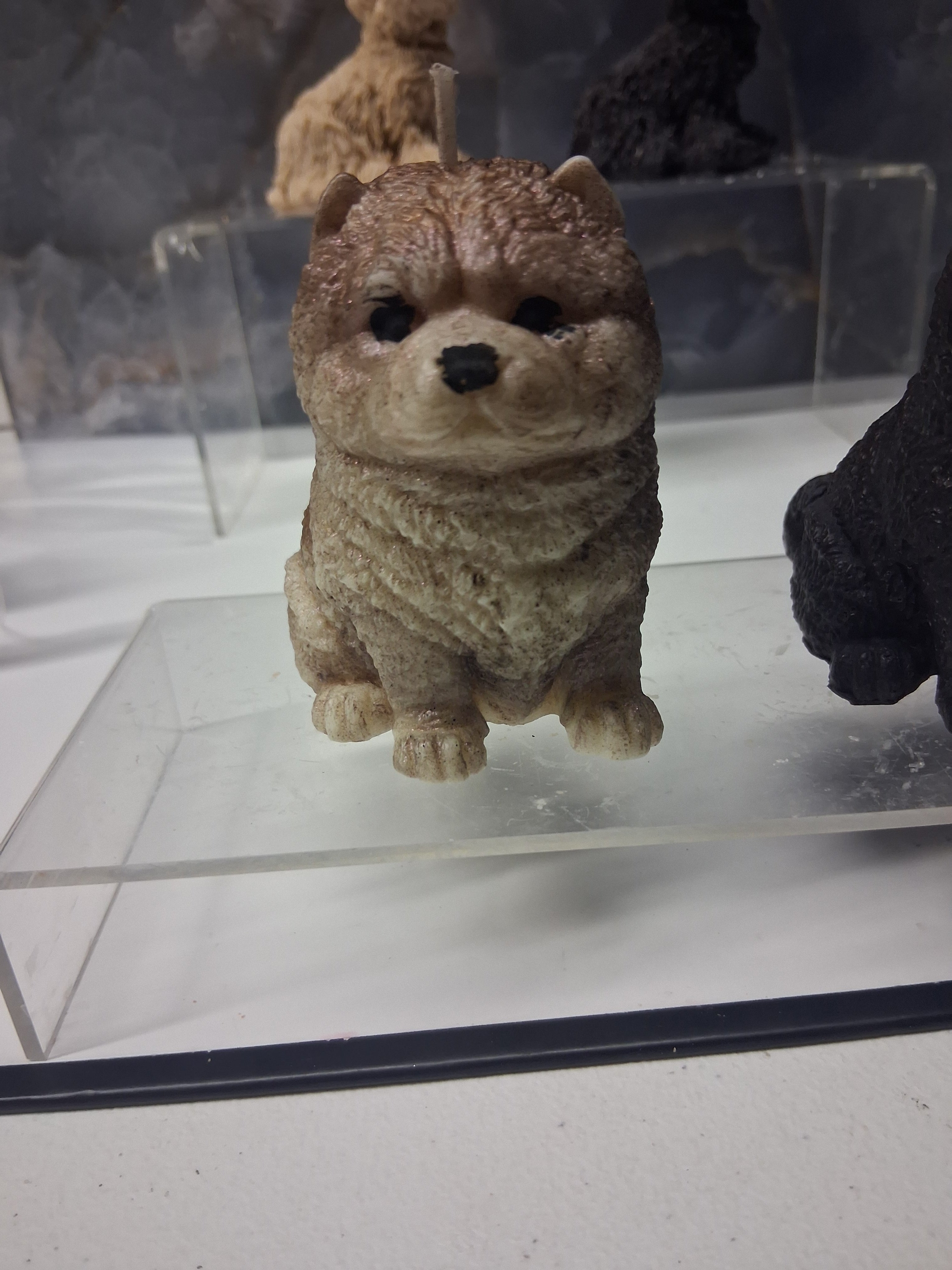 Chow Chow Charm