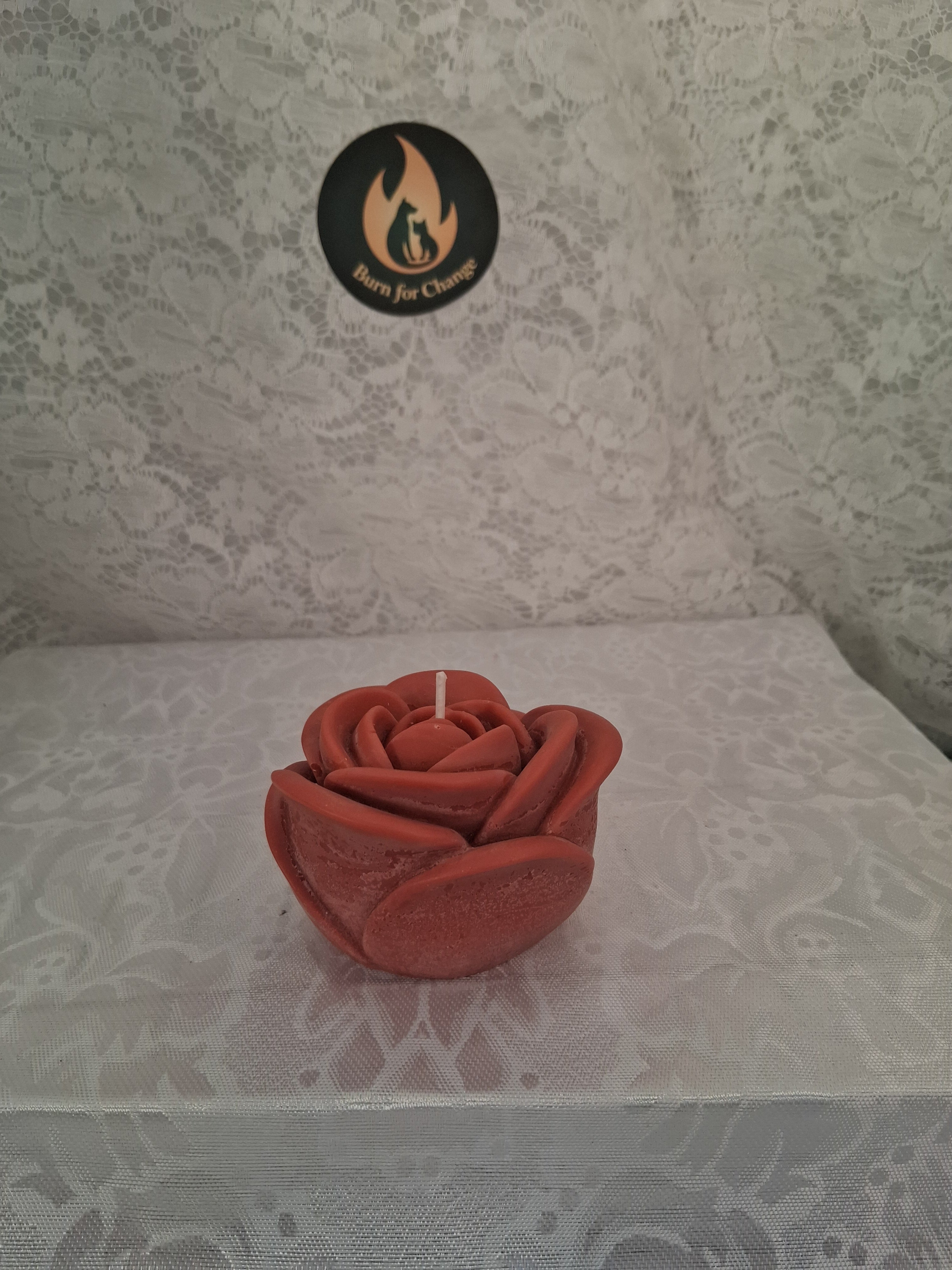 Solitary Rose Blaze 2
