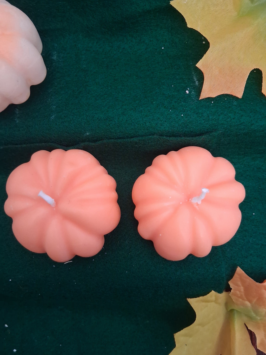 Pumpkin Patch 5 (Set of 2)