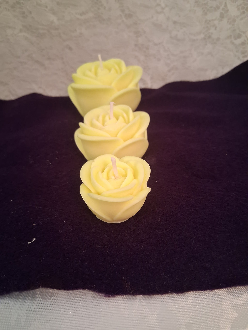 Radiant Glow Roses (Set of 3)