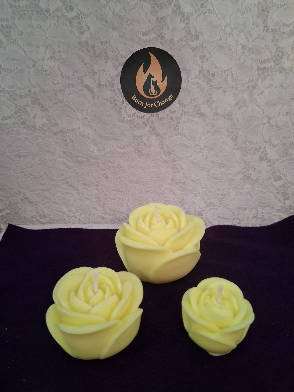 Radiant Glow Roses (Set of 3)